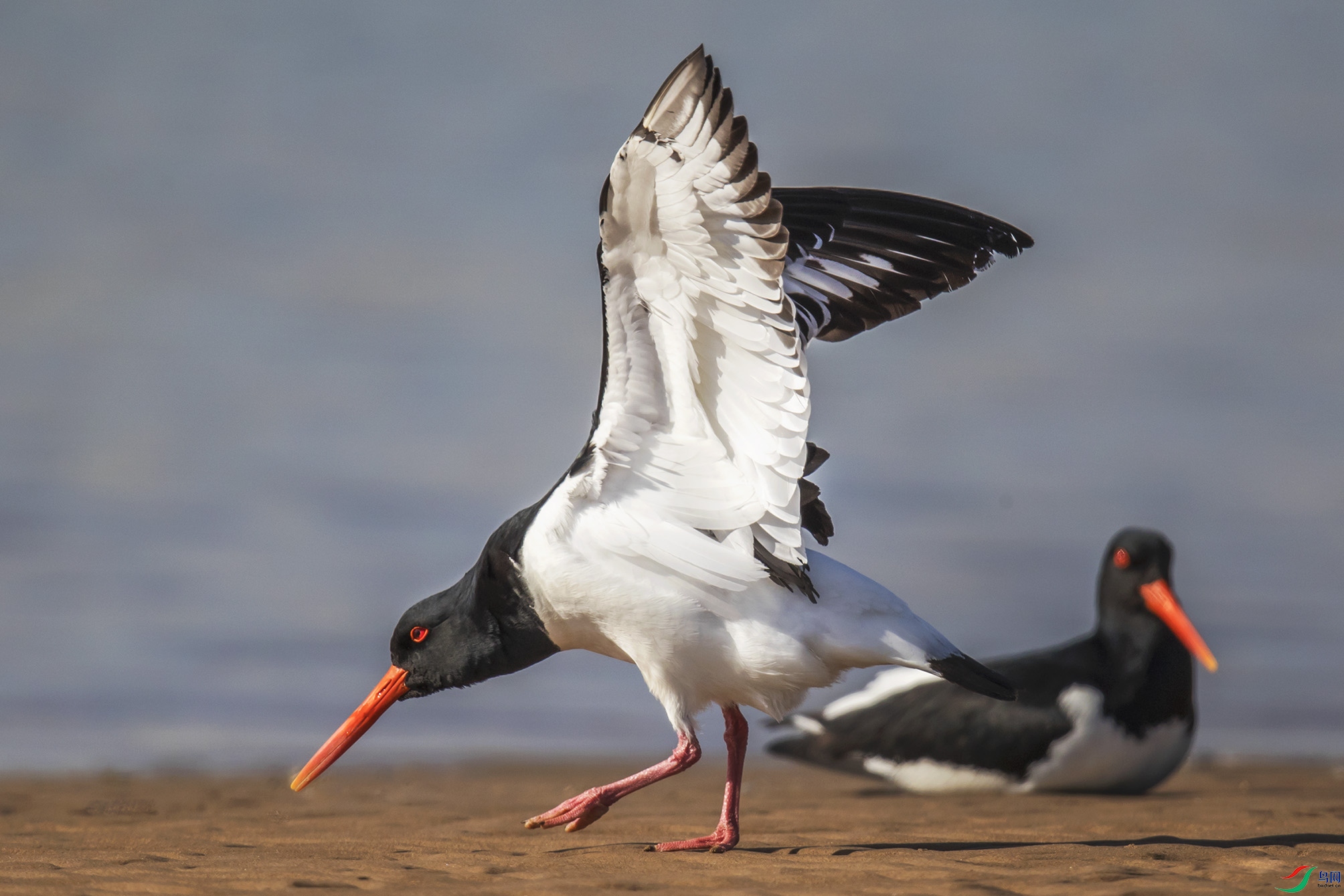 _90I6069 ���� 2.jpg