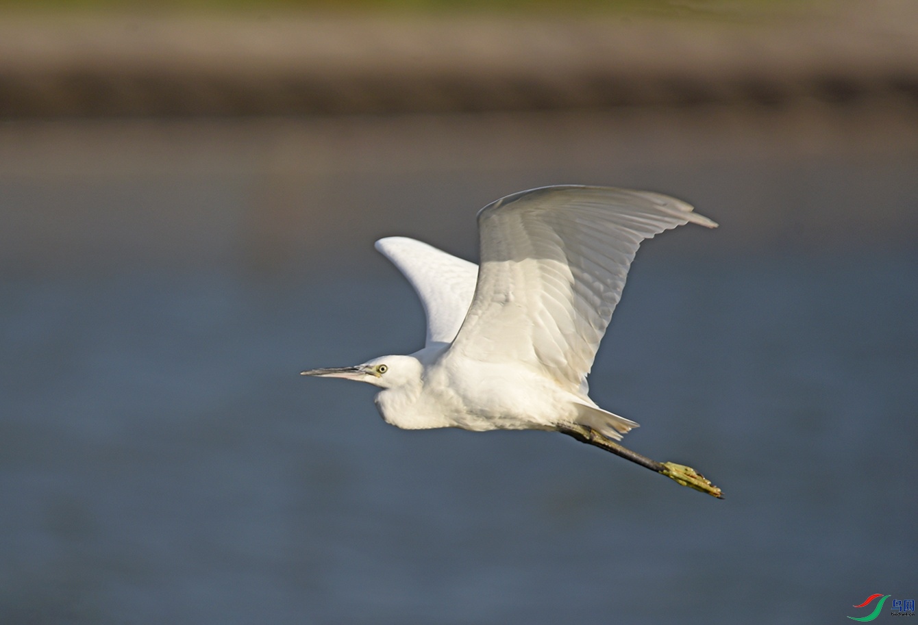 DSC_7084f.jpg