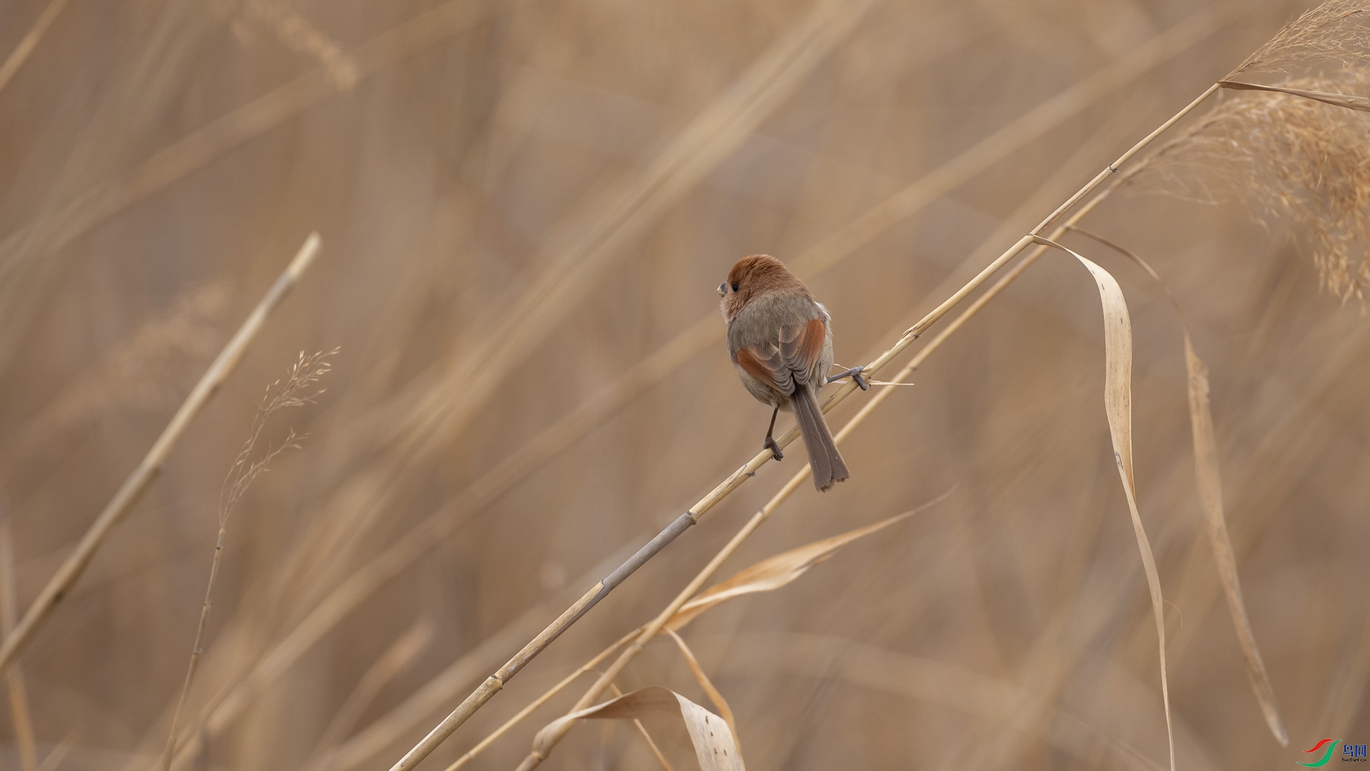 a_304900.jpg