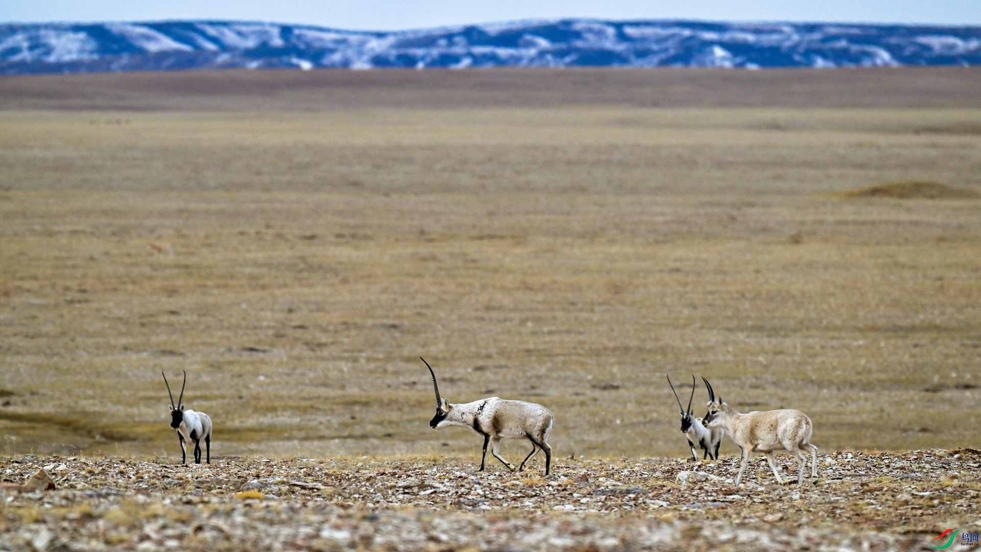 _DSC8509_����.jpg