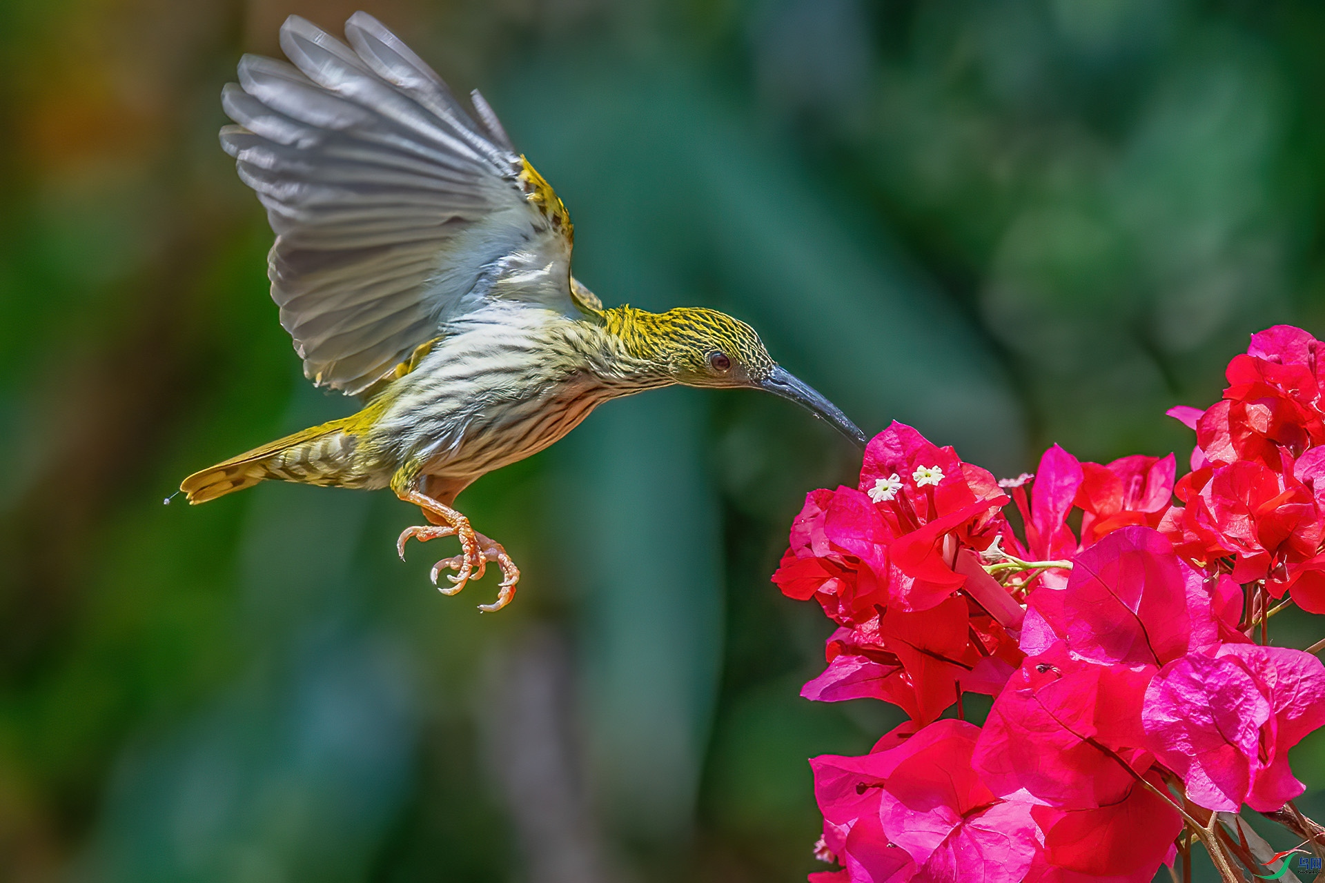 DSC_8418.jpg