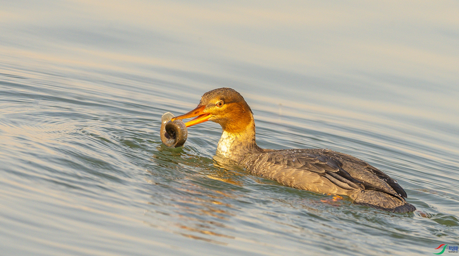 0200 ����.jpg