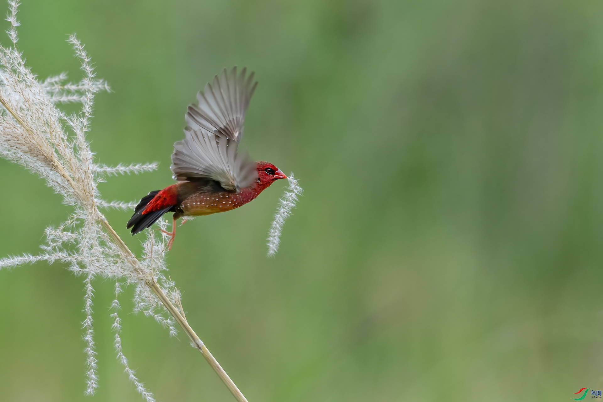 DSC_3192.jpg