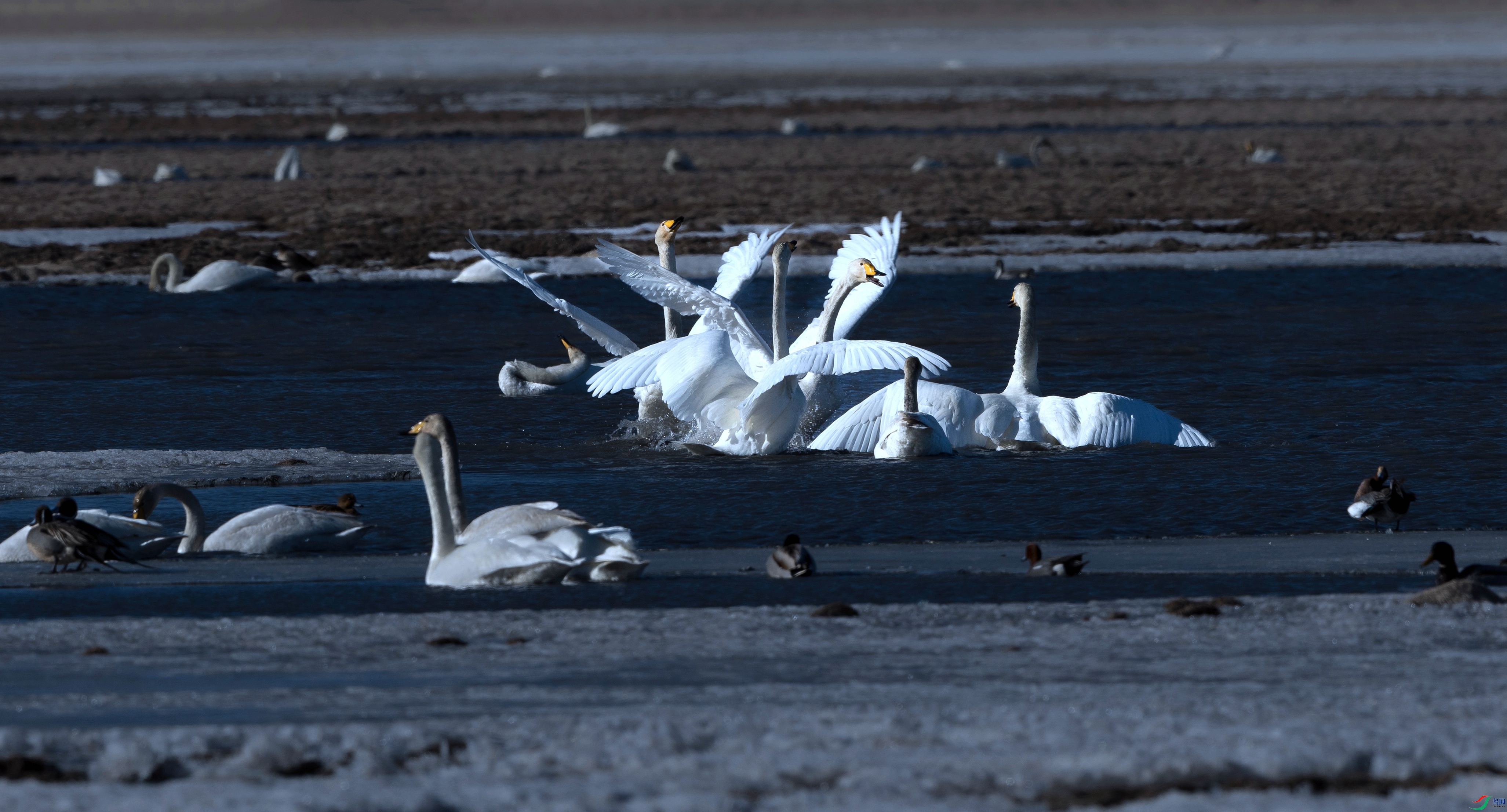 7X5A0291 ���� - ����.jpg