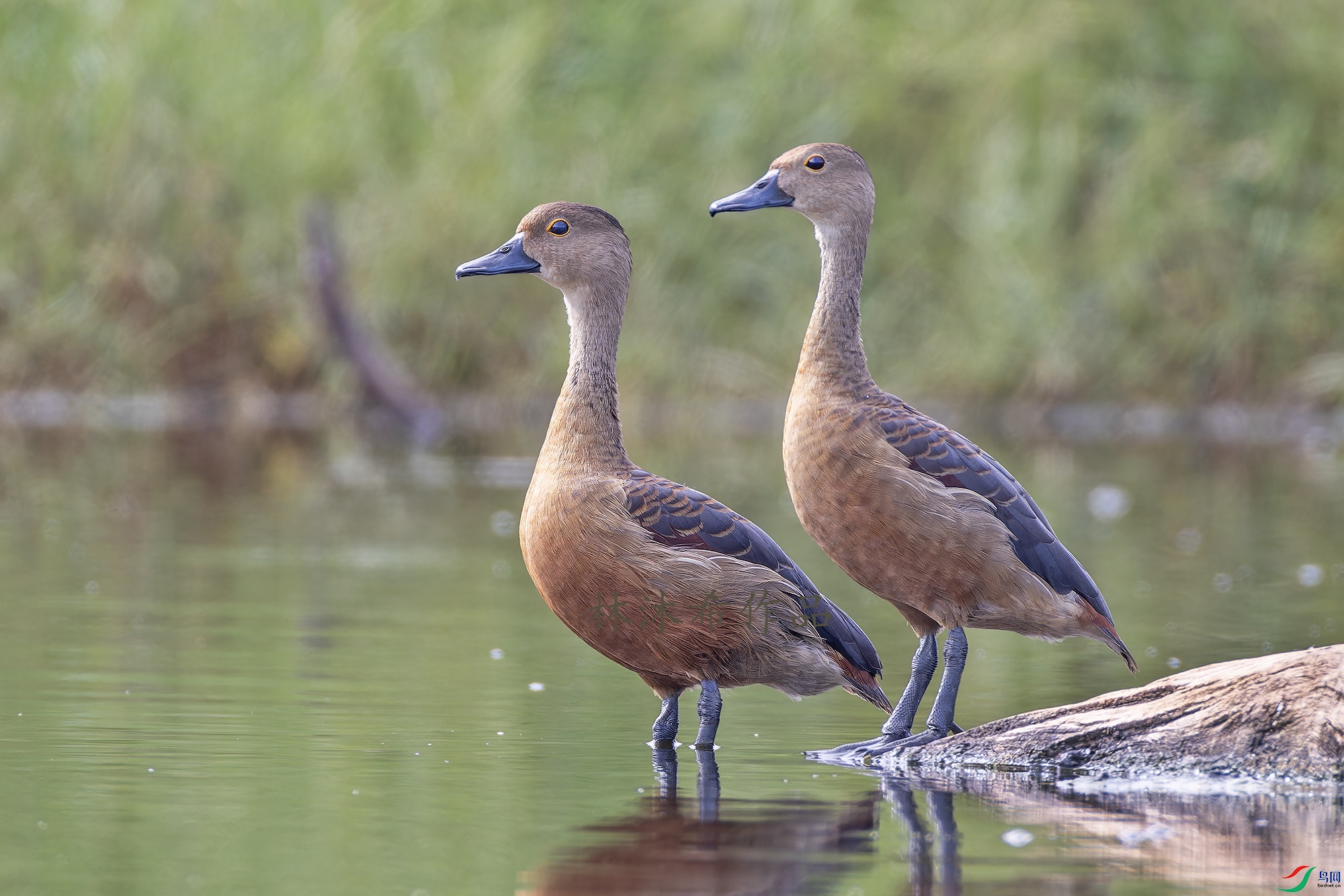 _97A0224-CR3 copy.jpg