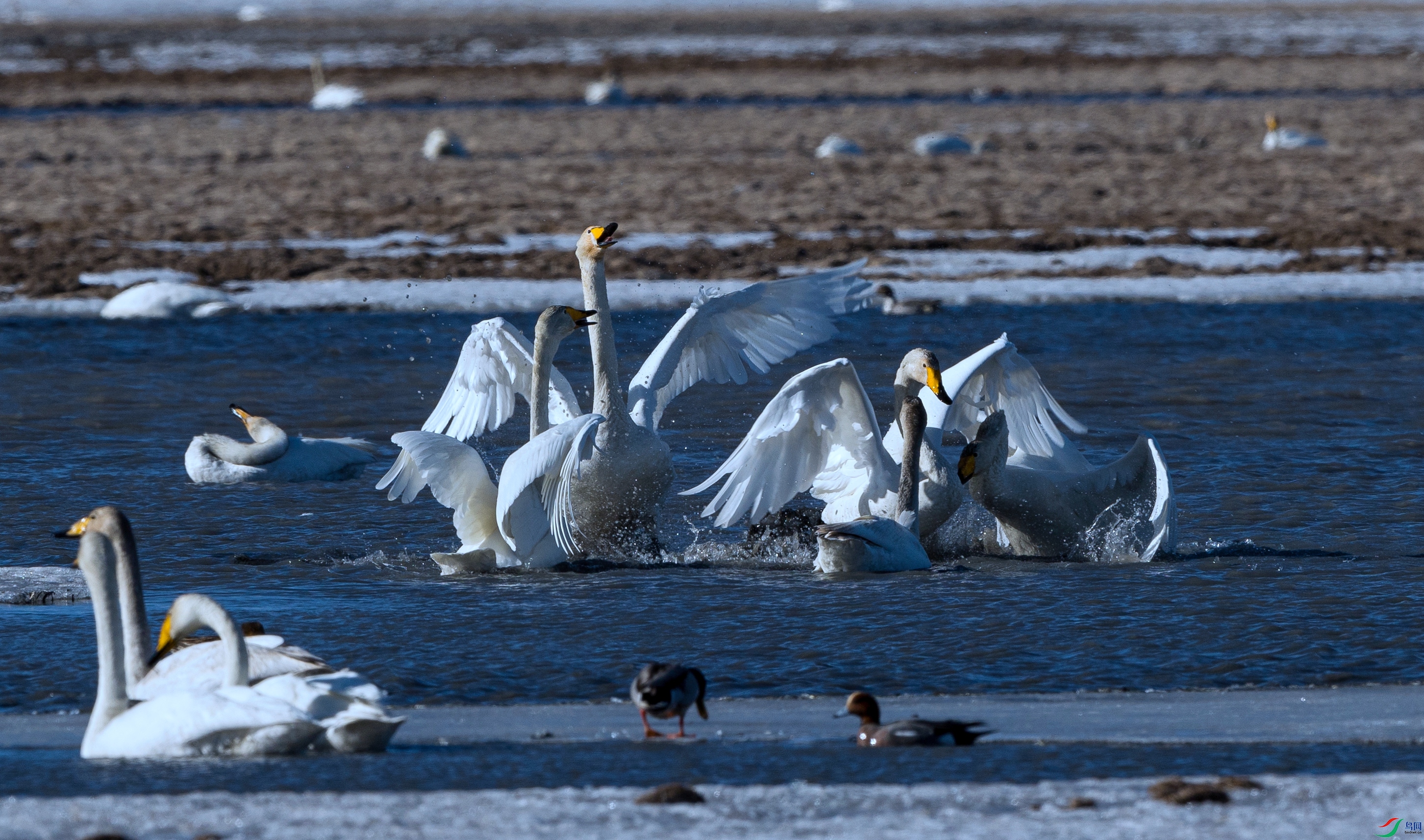 7X5A0310 ����.jpg