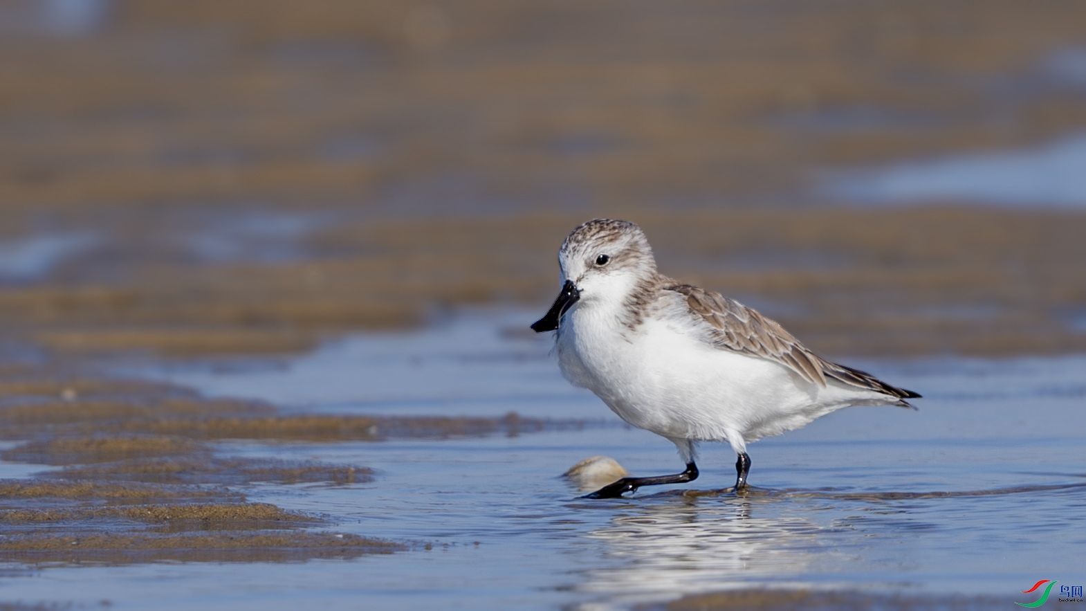 ZZX00467-����ǿ-NR ���� 3.jpg