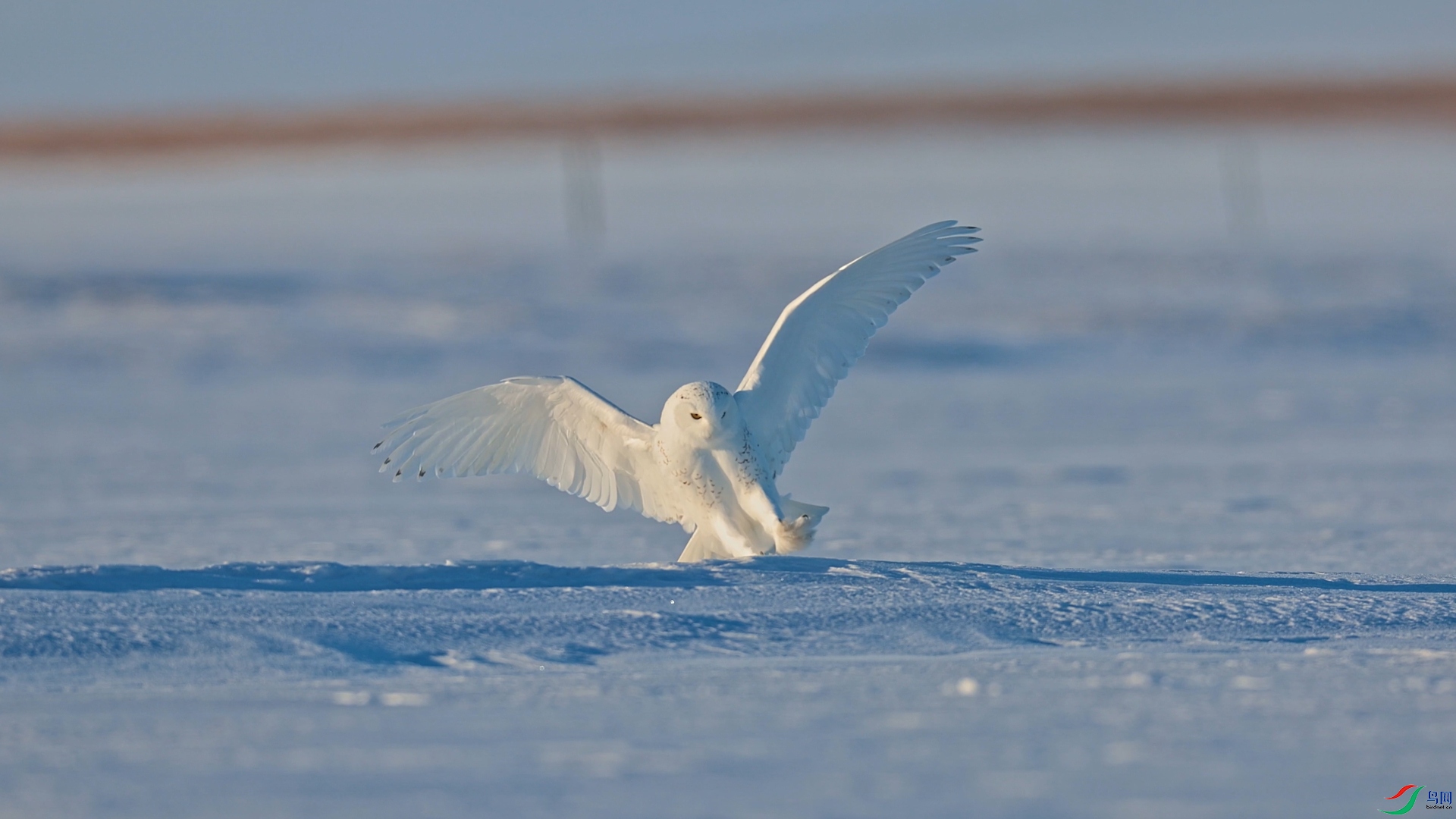 ѩ�^14_1.1.15.jpg