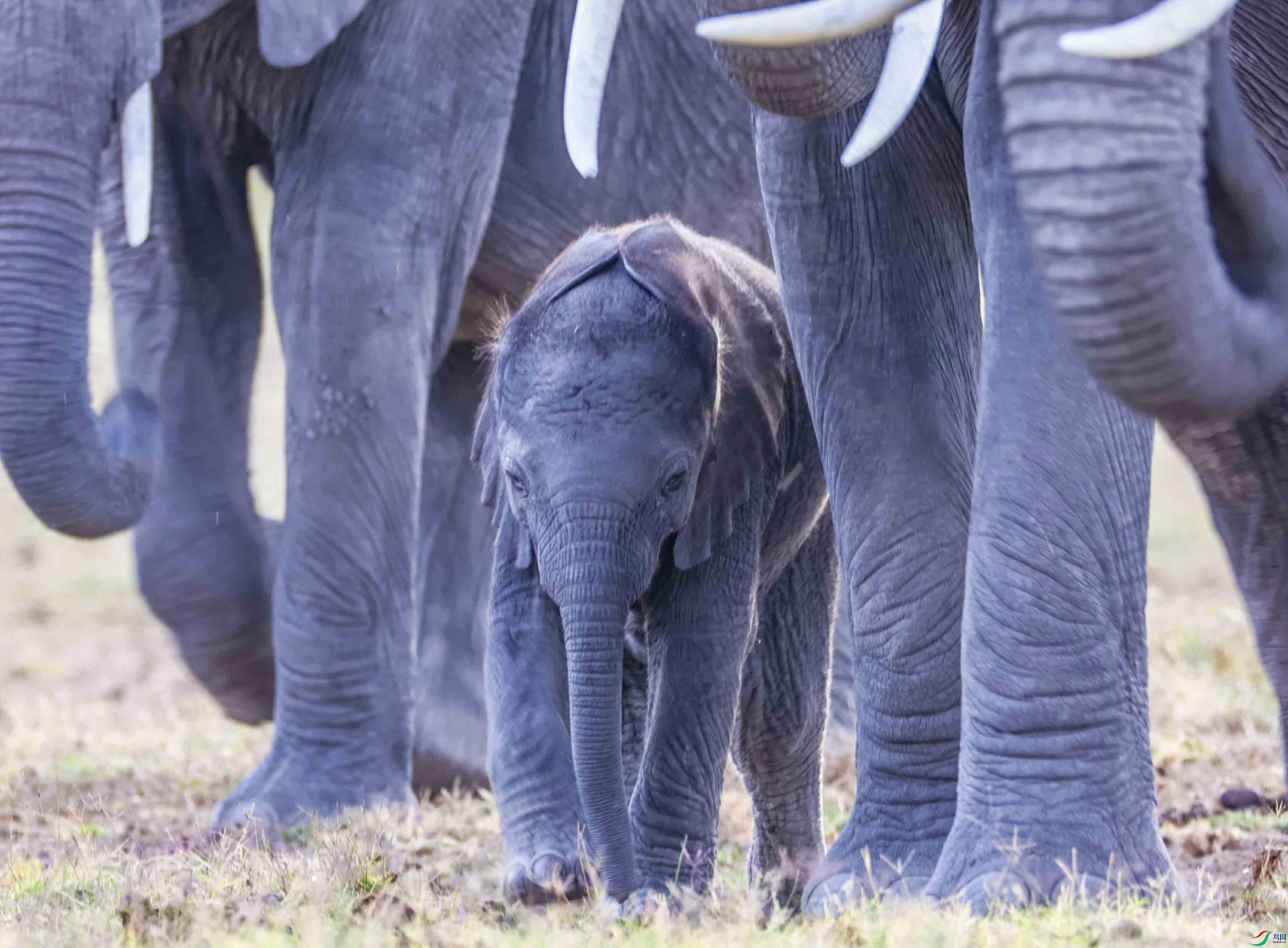 ȫ���˵ĺǻ�9 ����.jpg