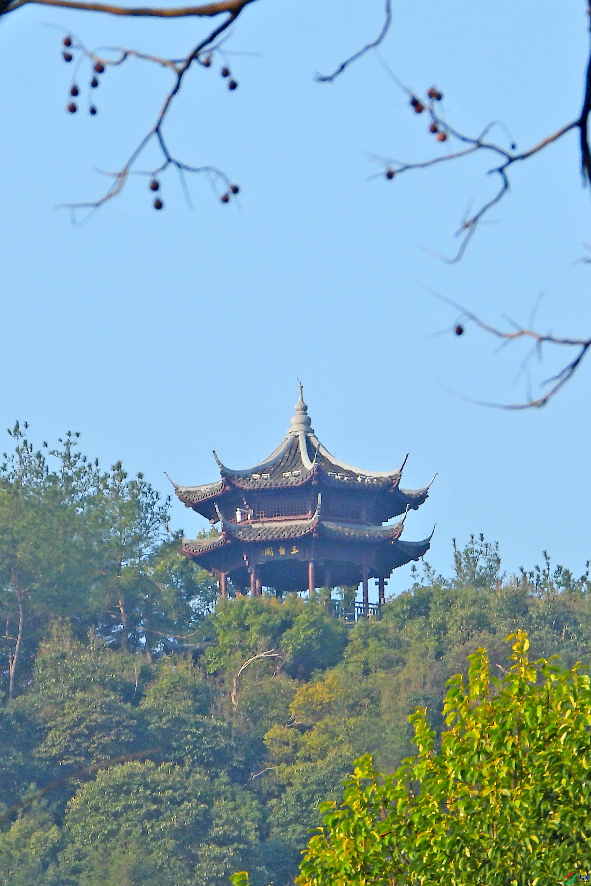 DSCN2672.JPG