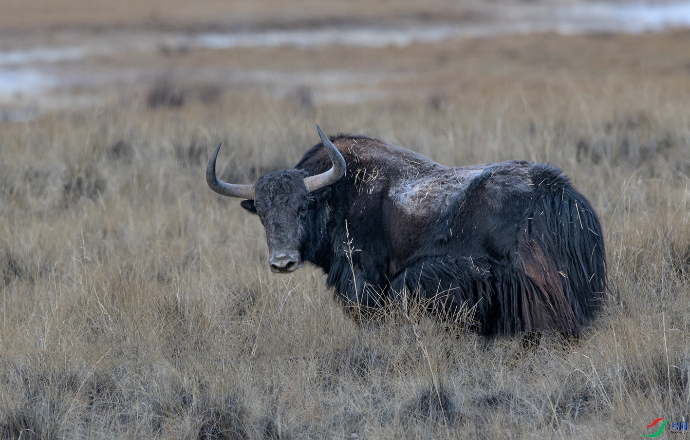 _DSC2635.jpg