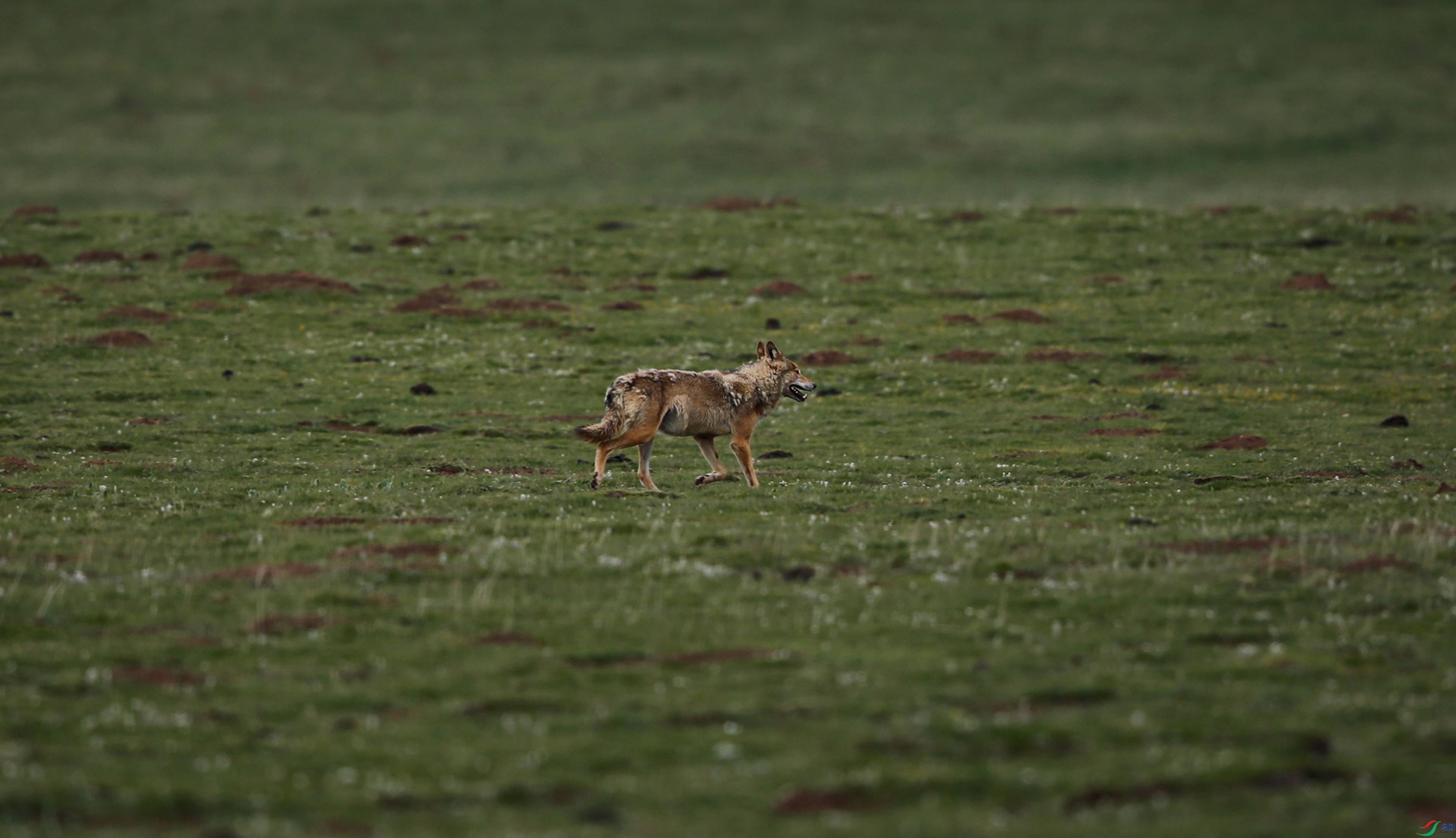 _39A0093 - ����.JPG