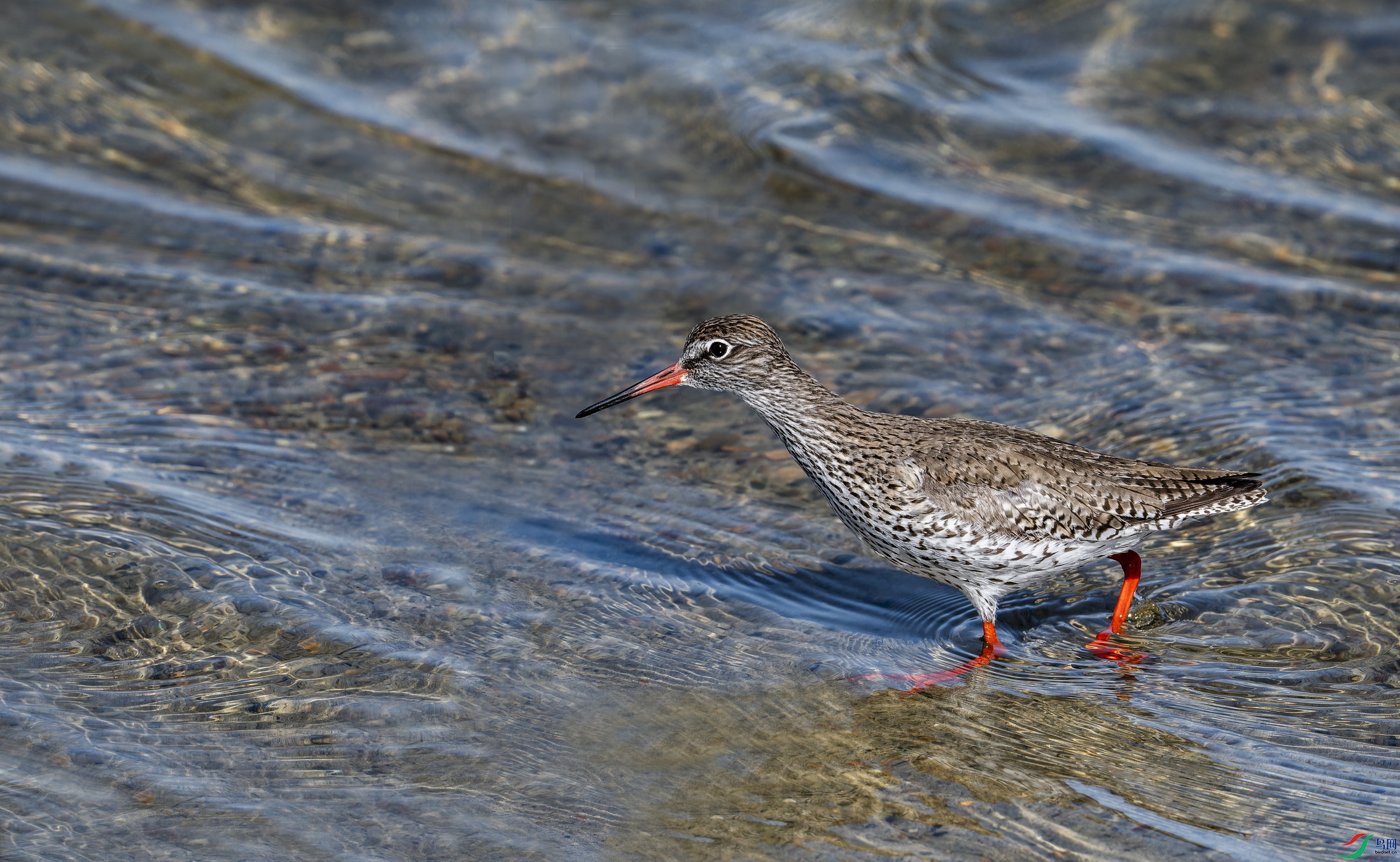 ����� (22)-1.jpg