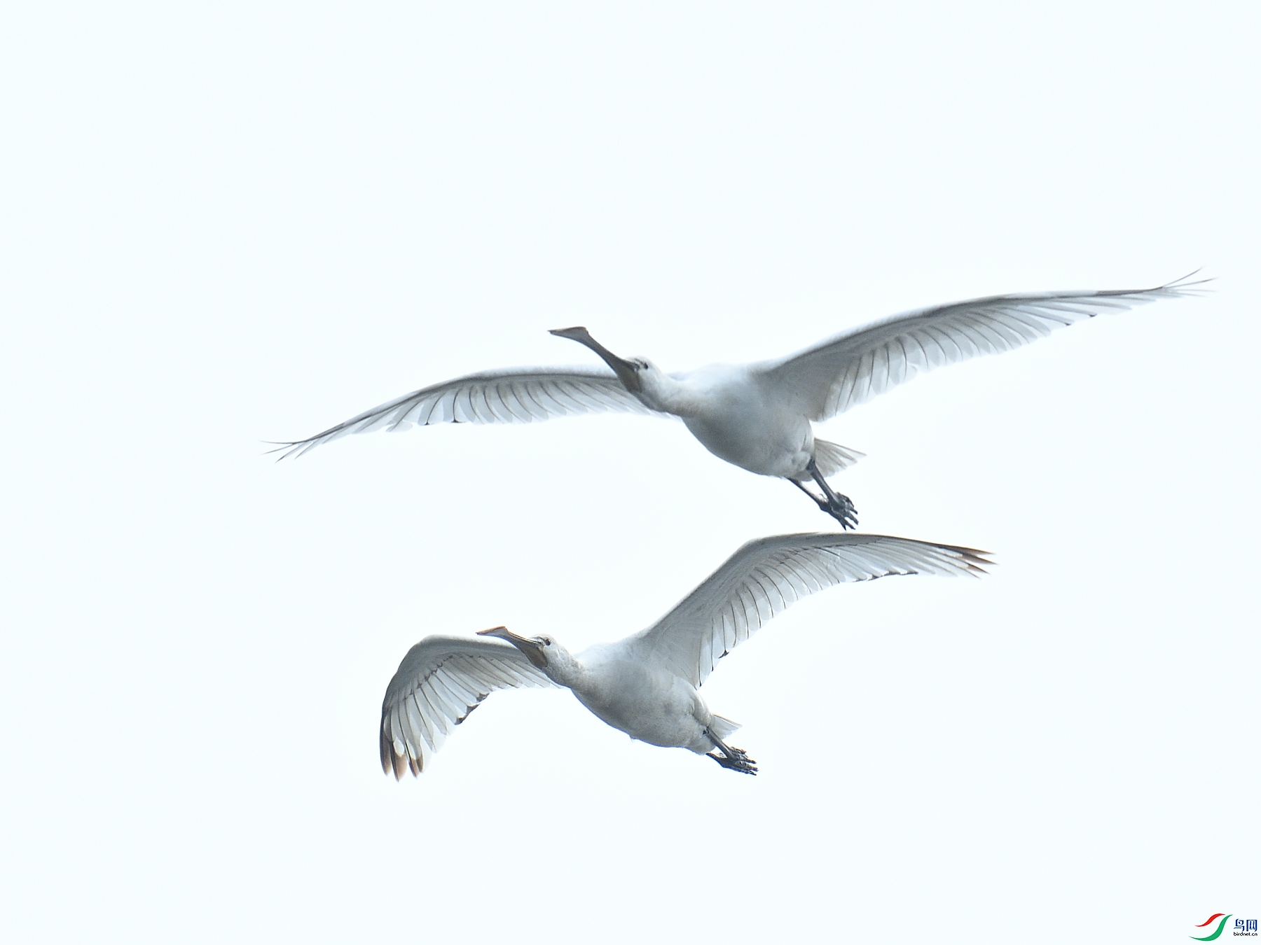 DSC_5076.JPG