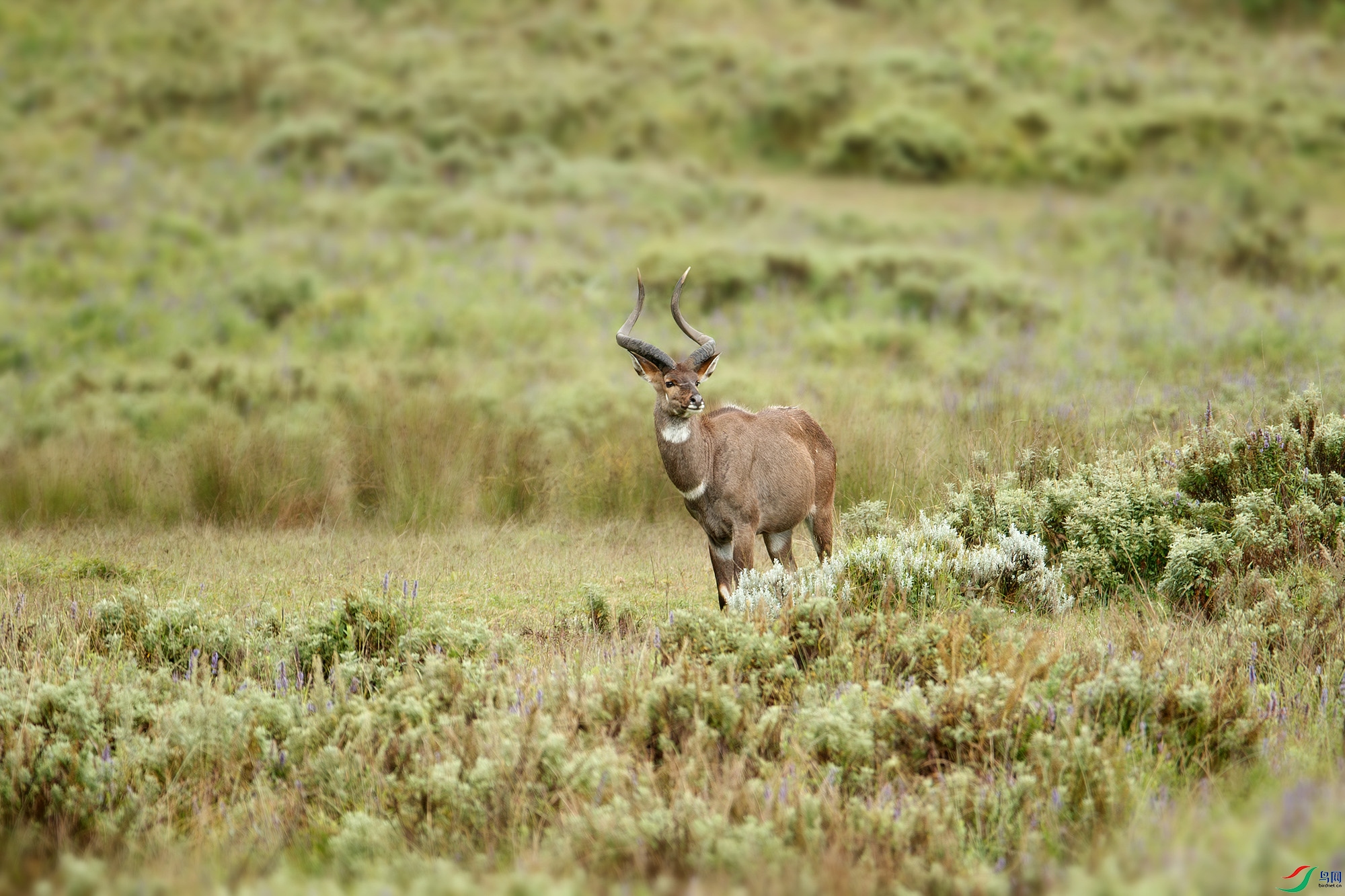 AQ9I1703-����ǿ-NR ����.jpg