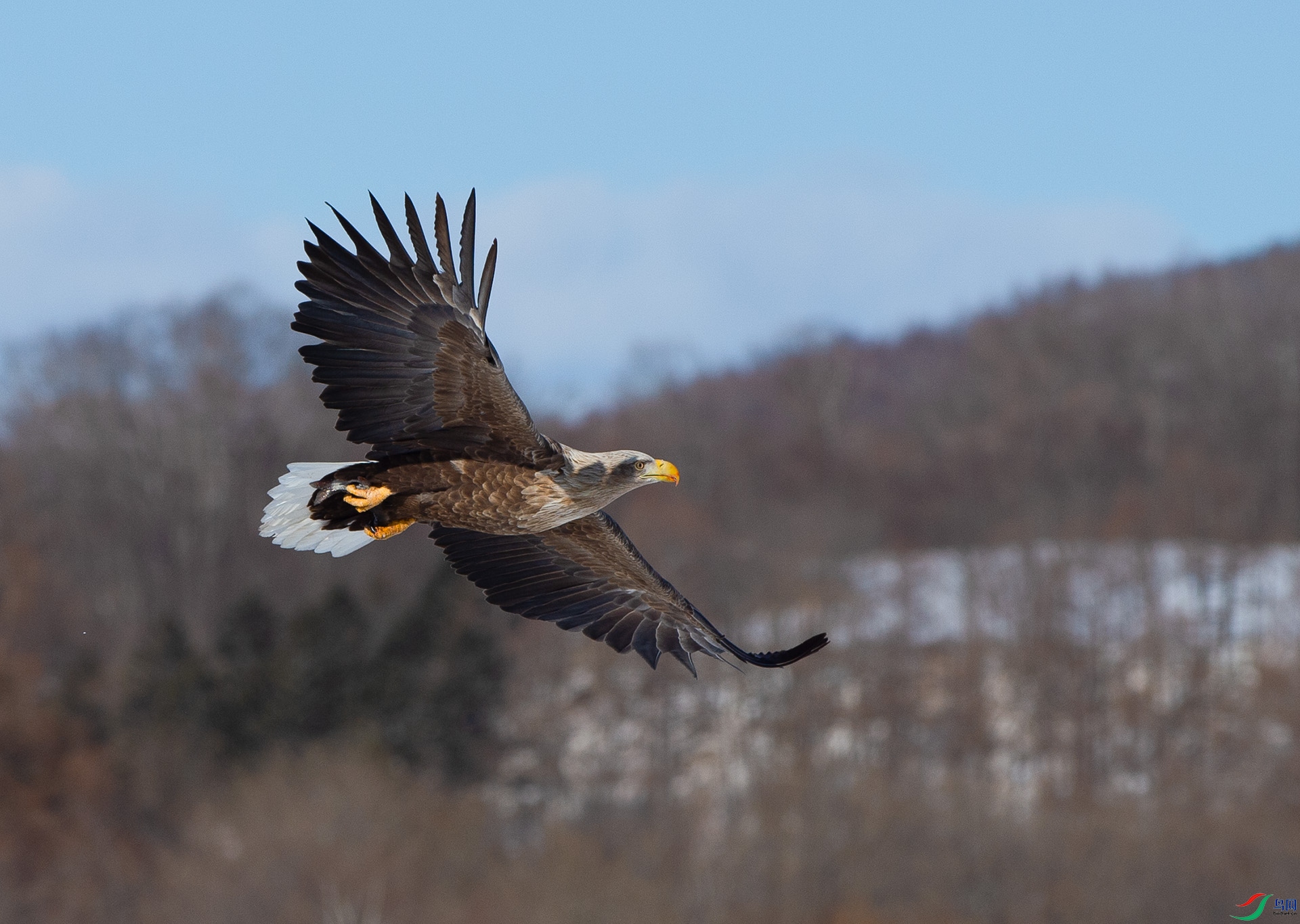 ��DSC_0159.jpg