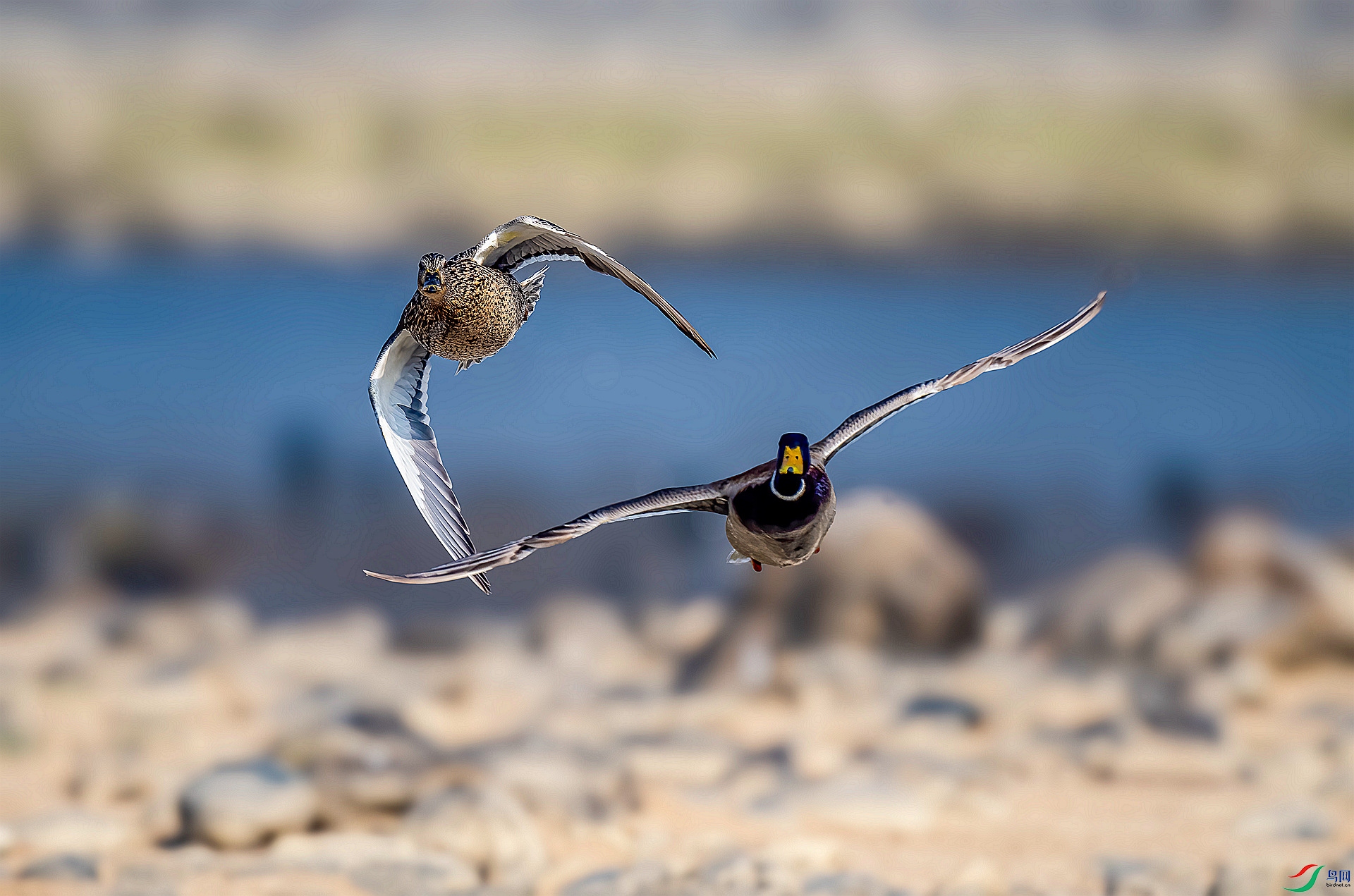 DSC_5191 ����_����.jpg