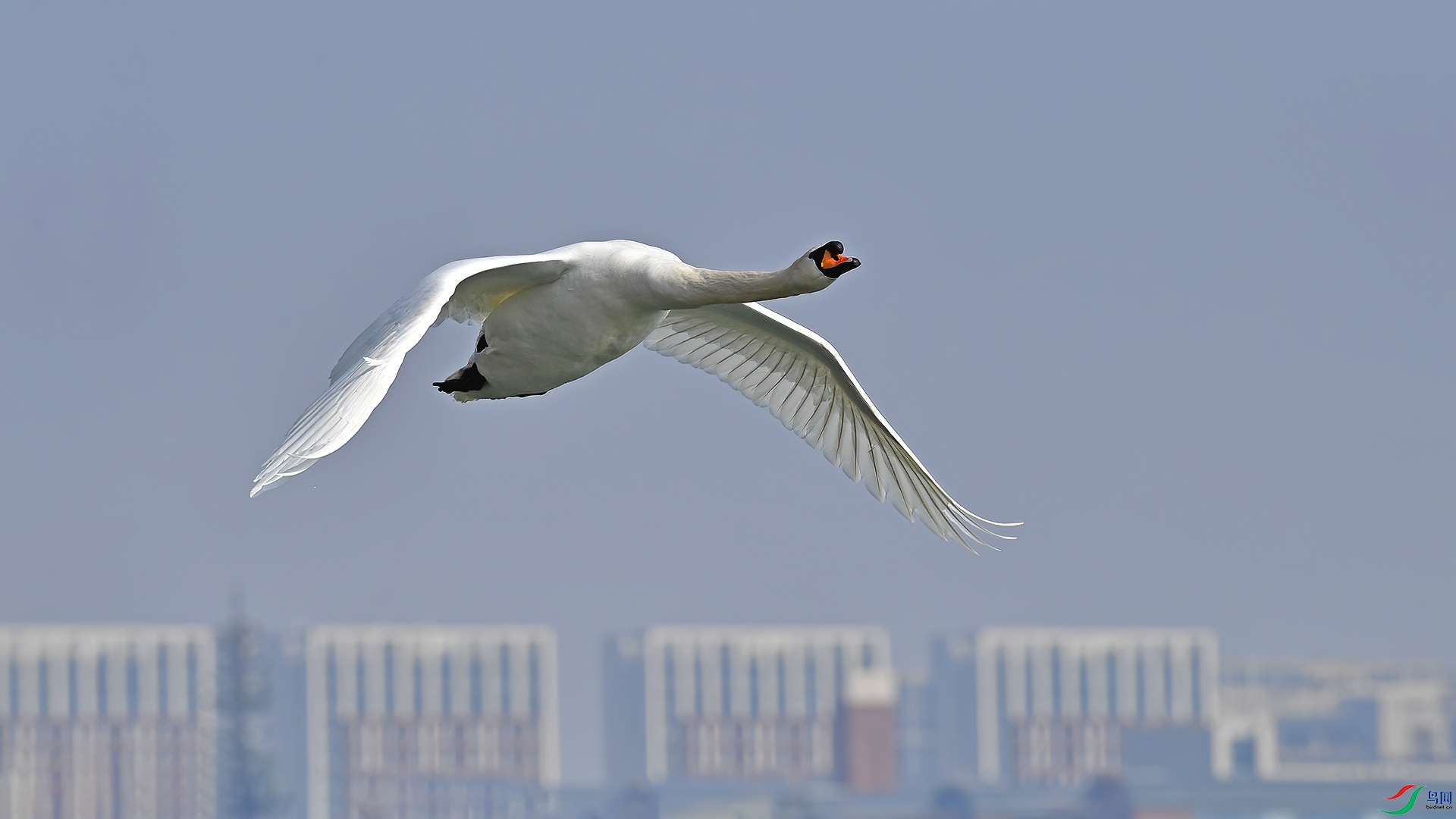 DSC_24z63.jpg