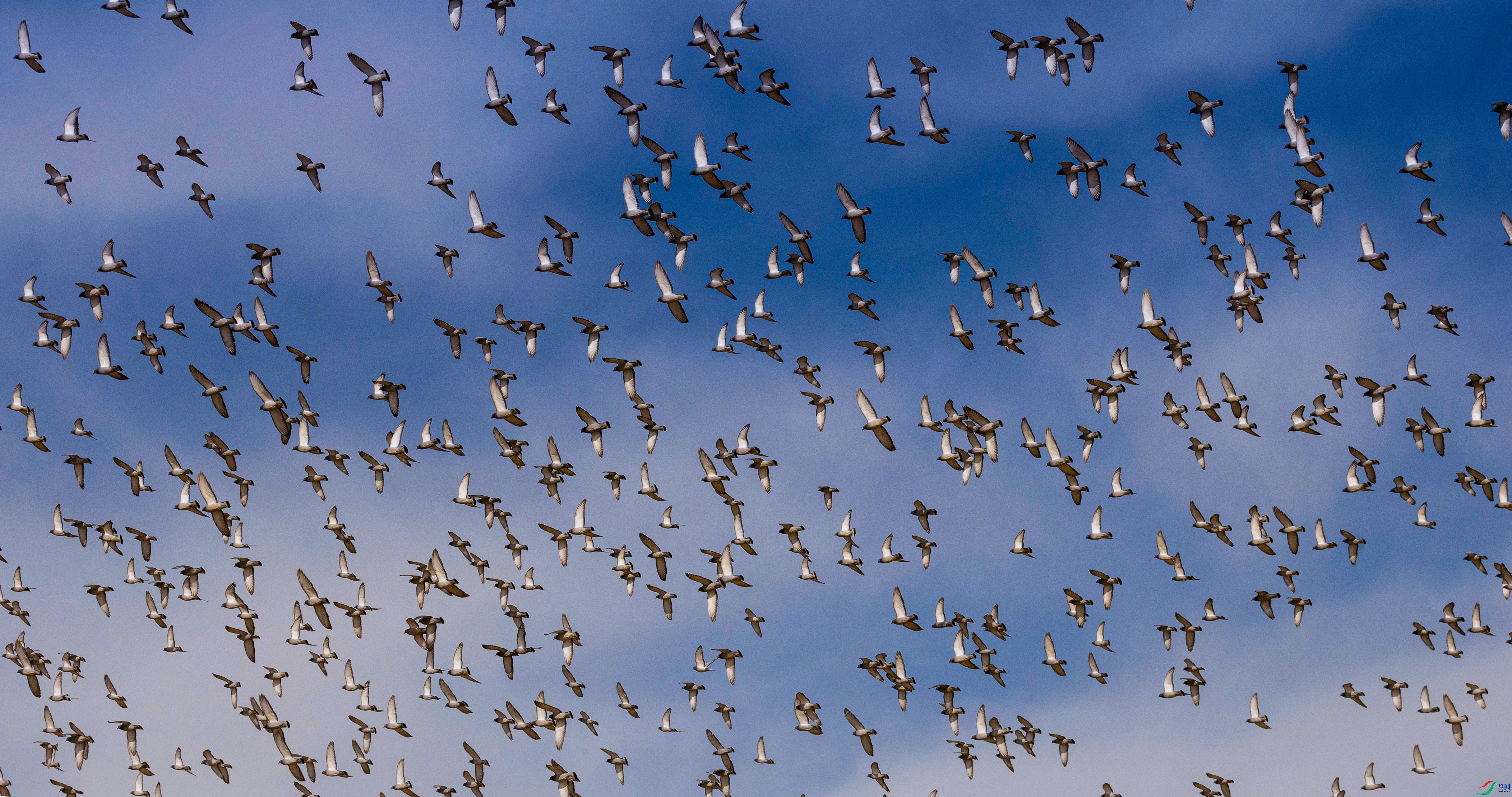 7X5A5356 - ����.jpg