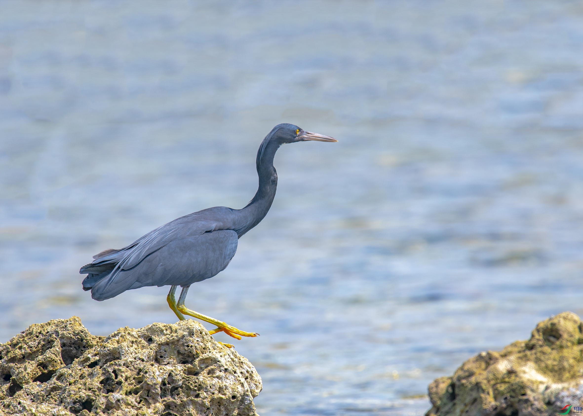 2026 ����.jpg