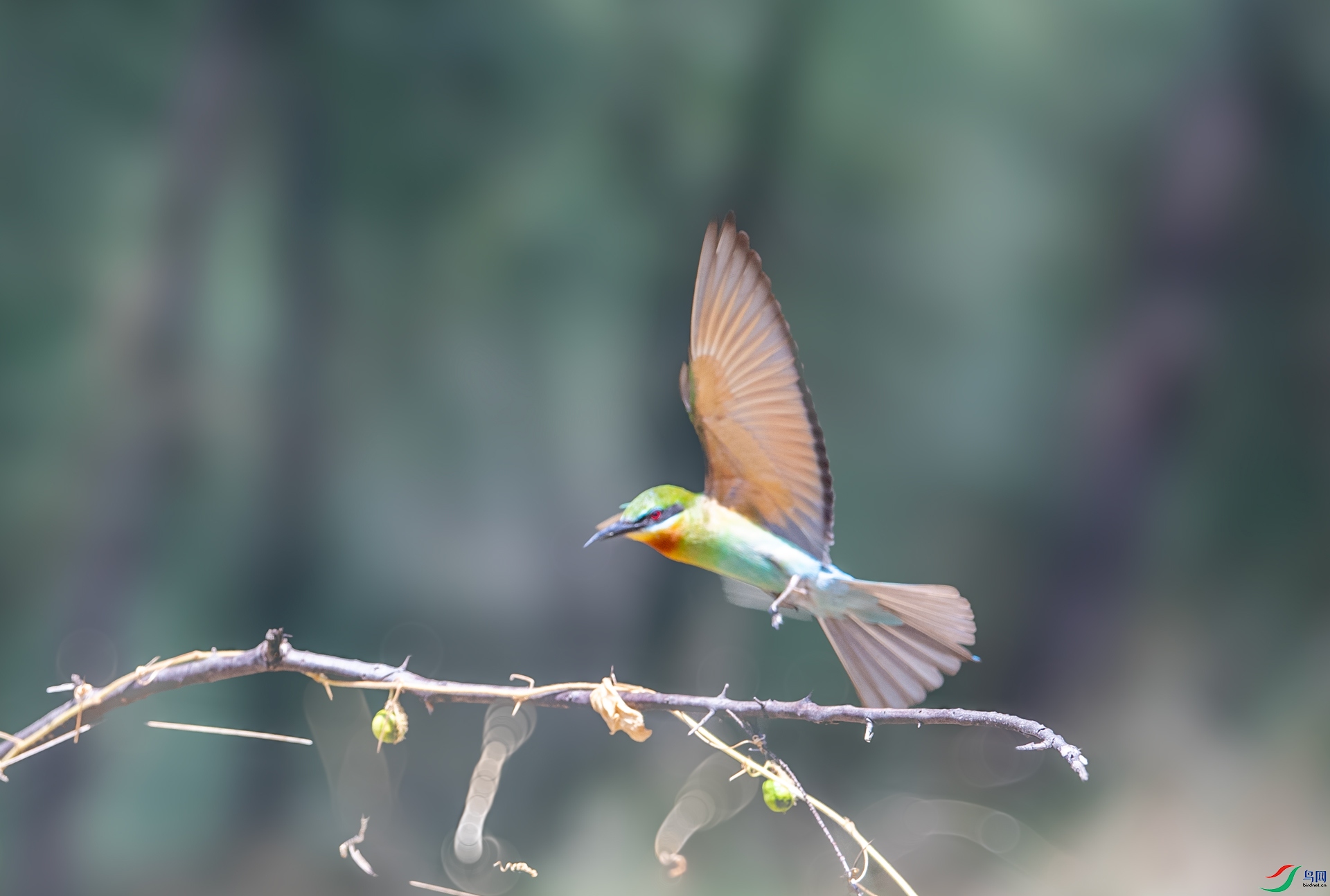 DSC_5733.jpg