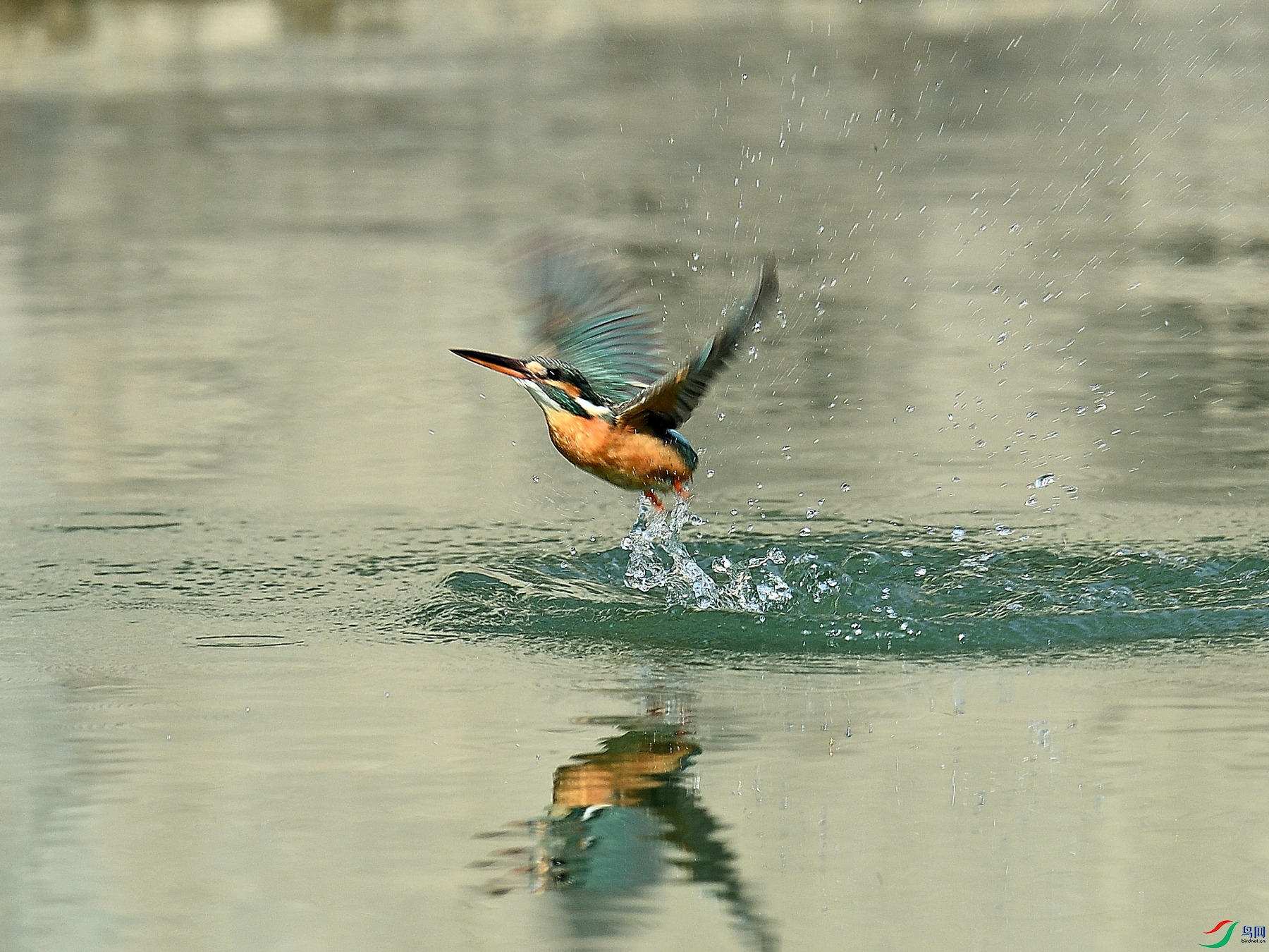 DSC_7722.JPG