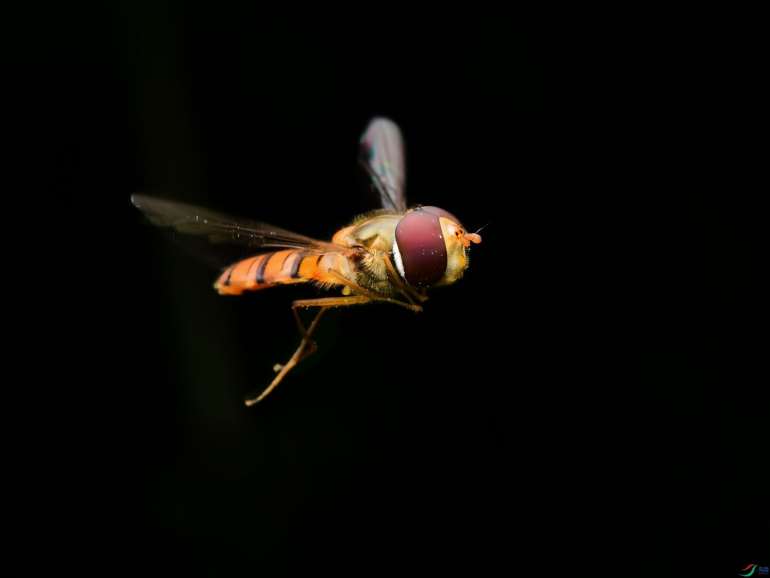 DSC_5483_����.jpg