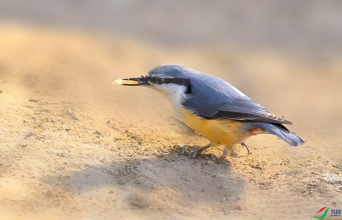 DSC_1783.JPG