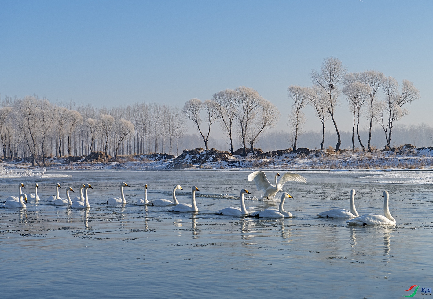 DSC_7566.jpg