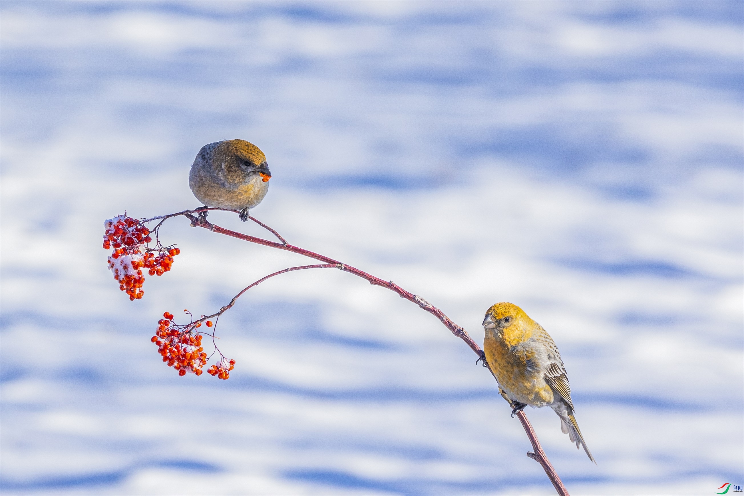 1K3A4914 ����1.jpg