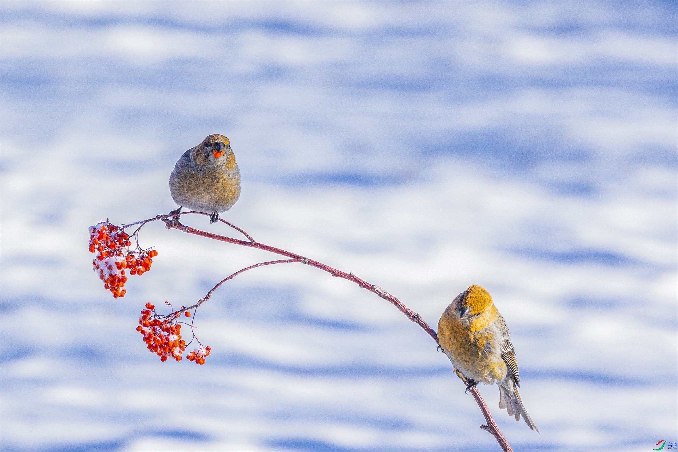 1K3A4925 ����1.jpg