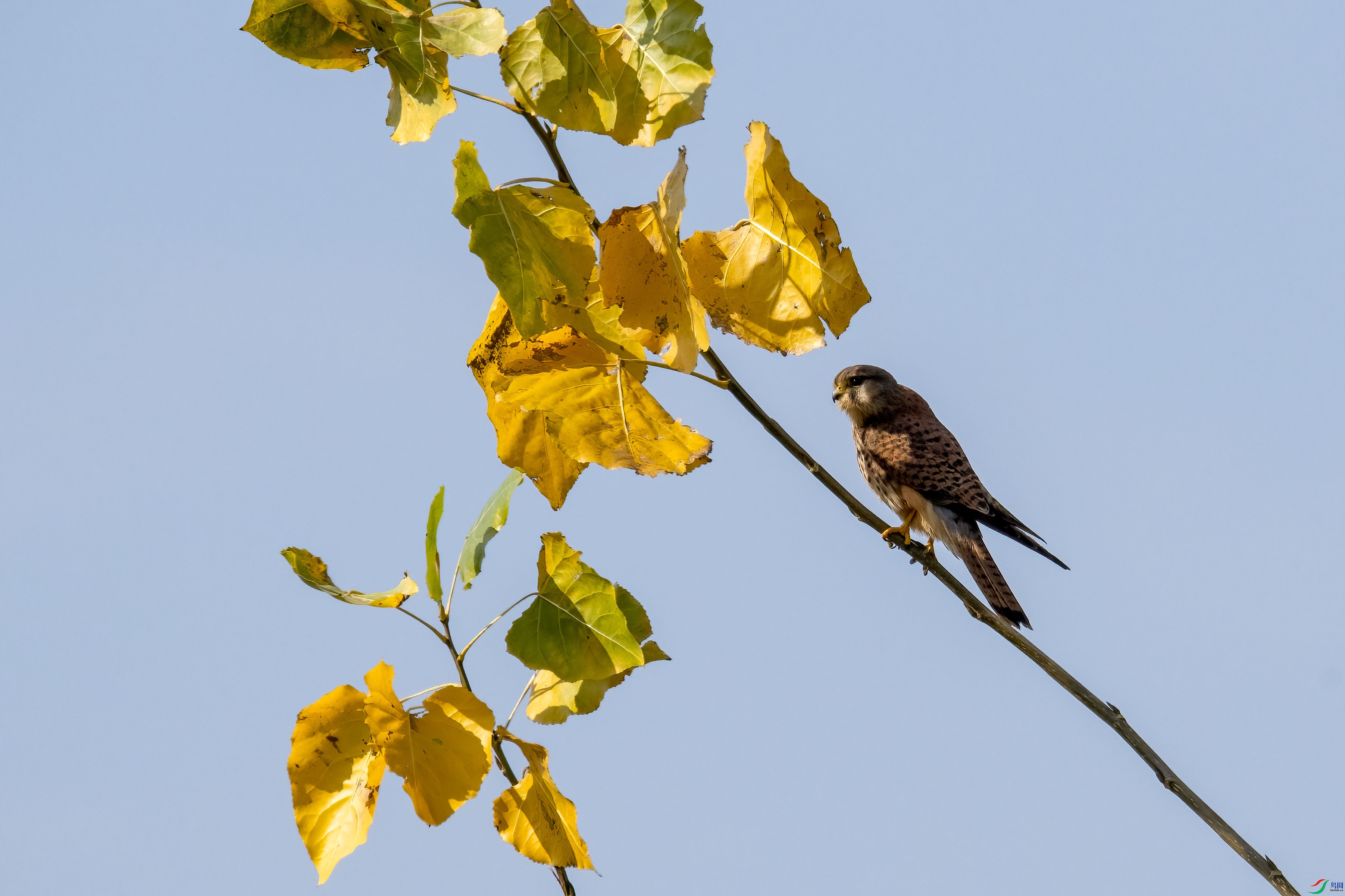 DSC_3310.jpg