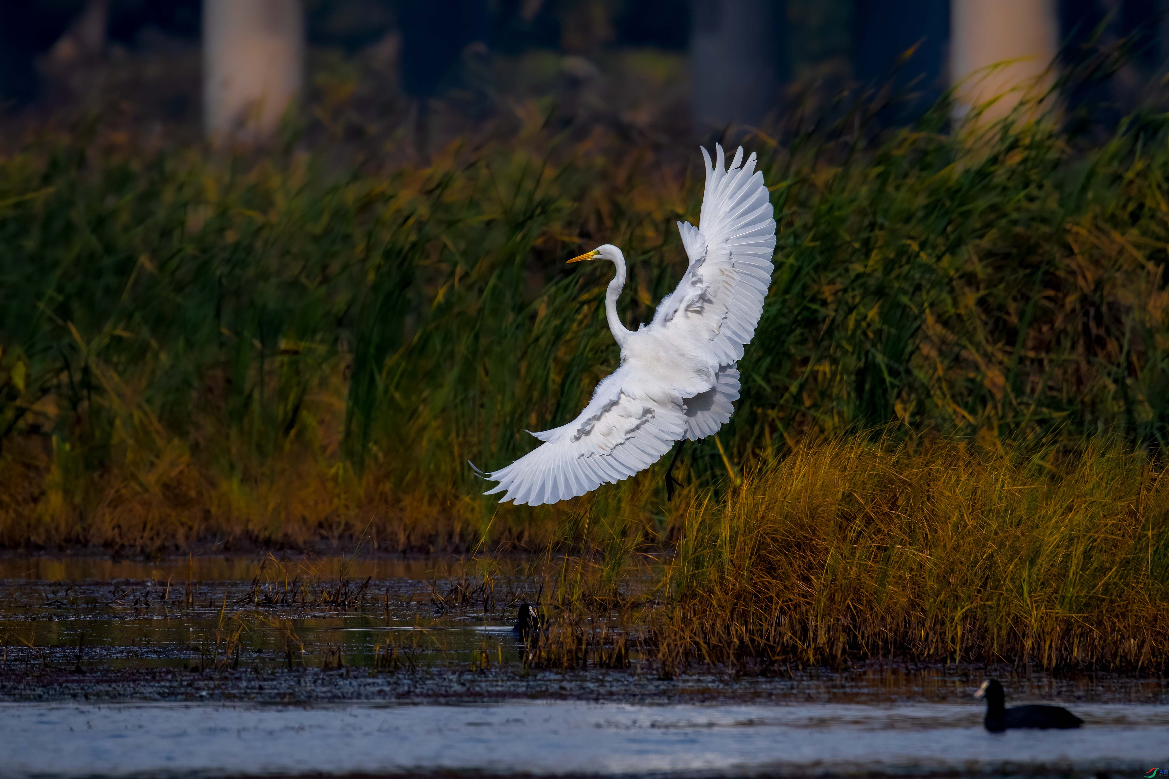 DSC_3111.jpg
