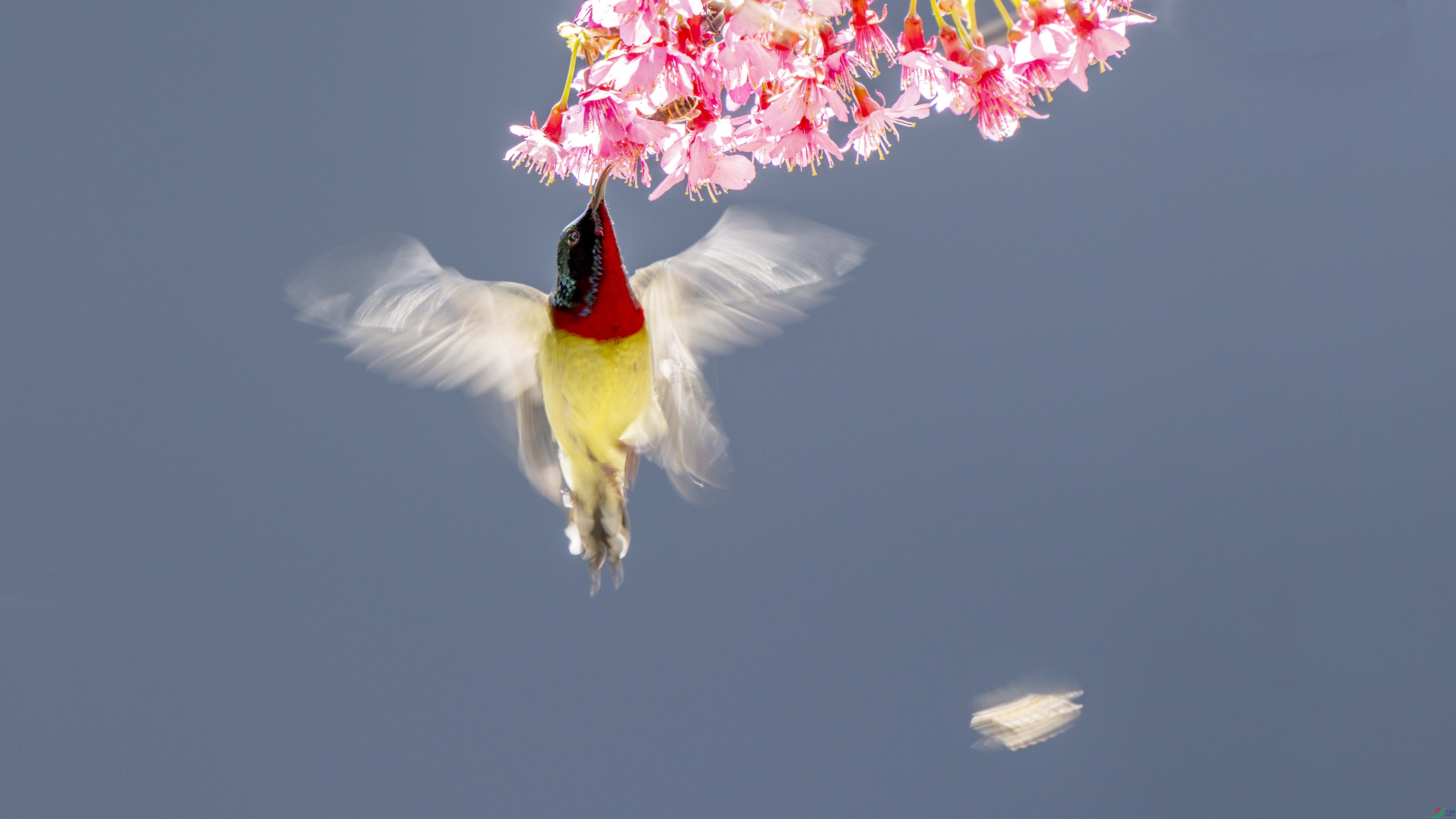 _DSC4875 ����.jpg