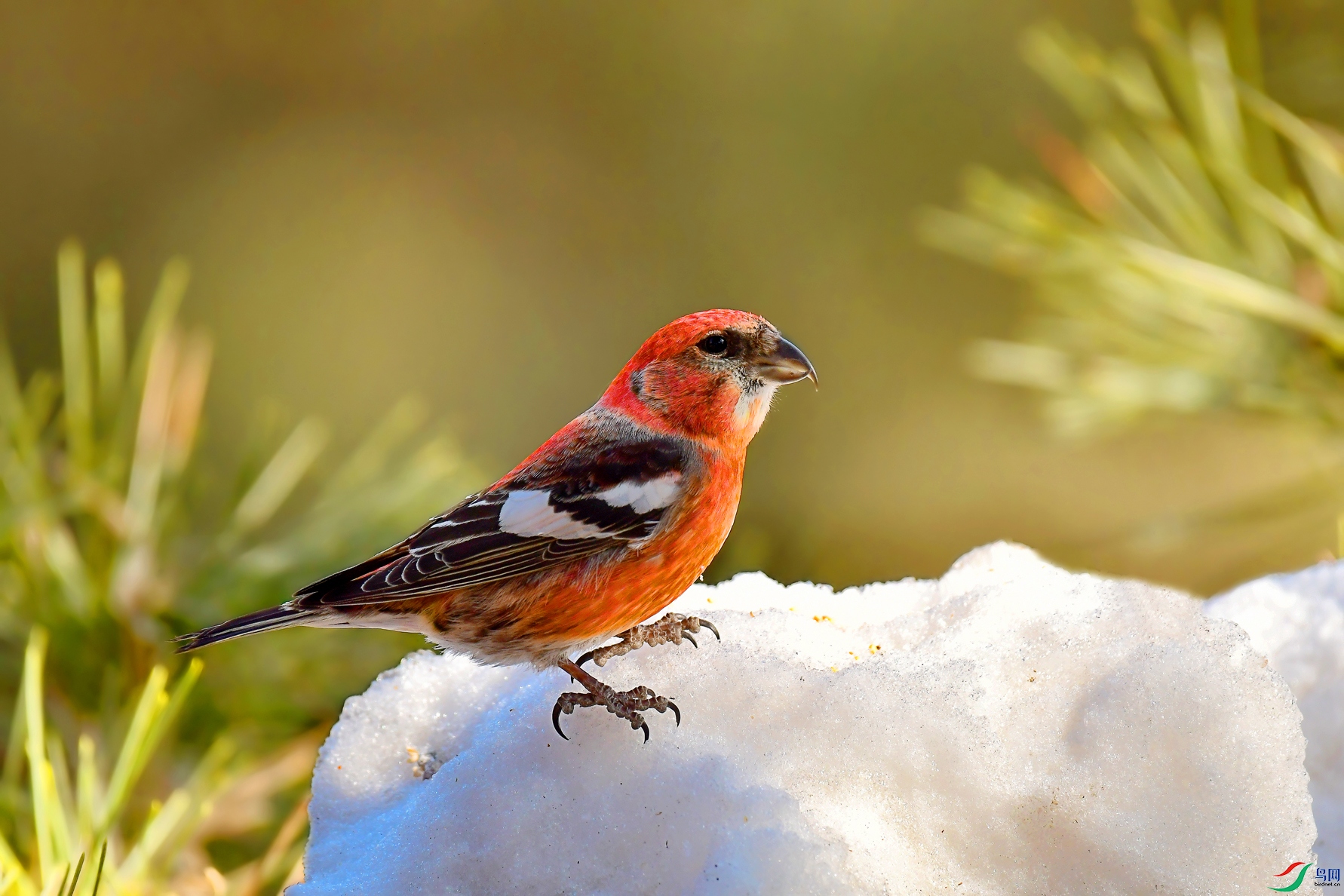 DSC_0003 ����..JPG