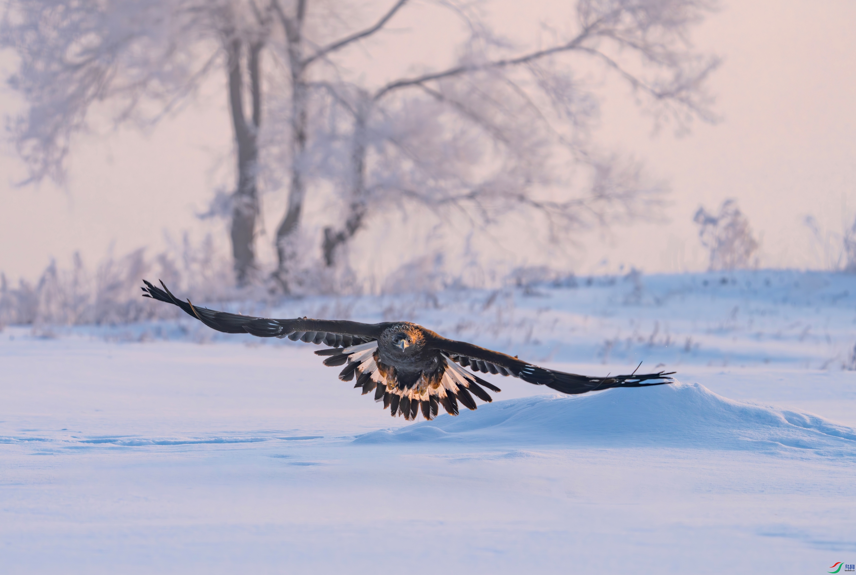 DSC07689-����ǿ-NR ����.jpg