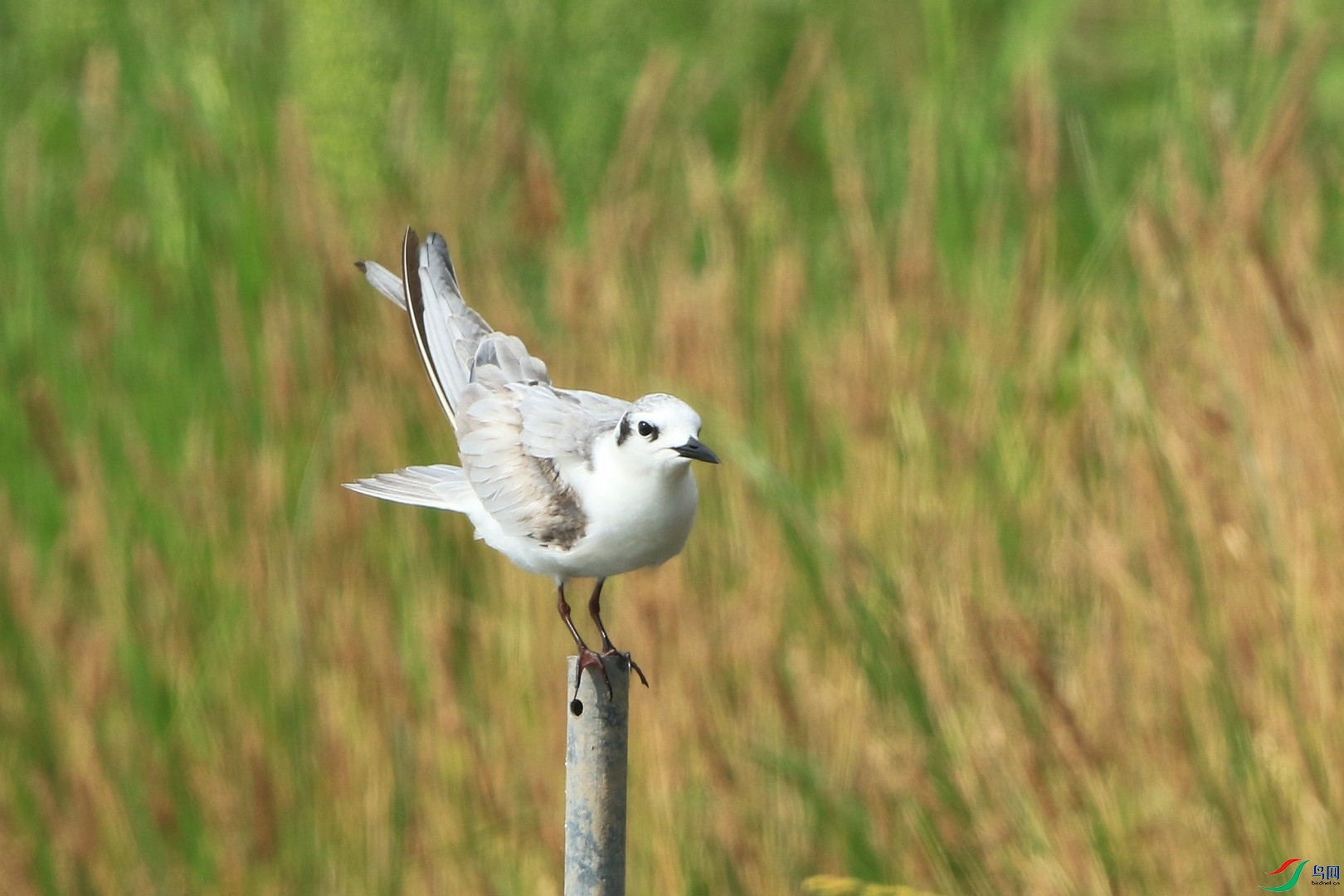 Ÿ����Ÿ ����0F4A8496.jpg