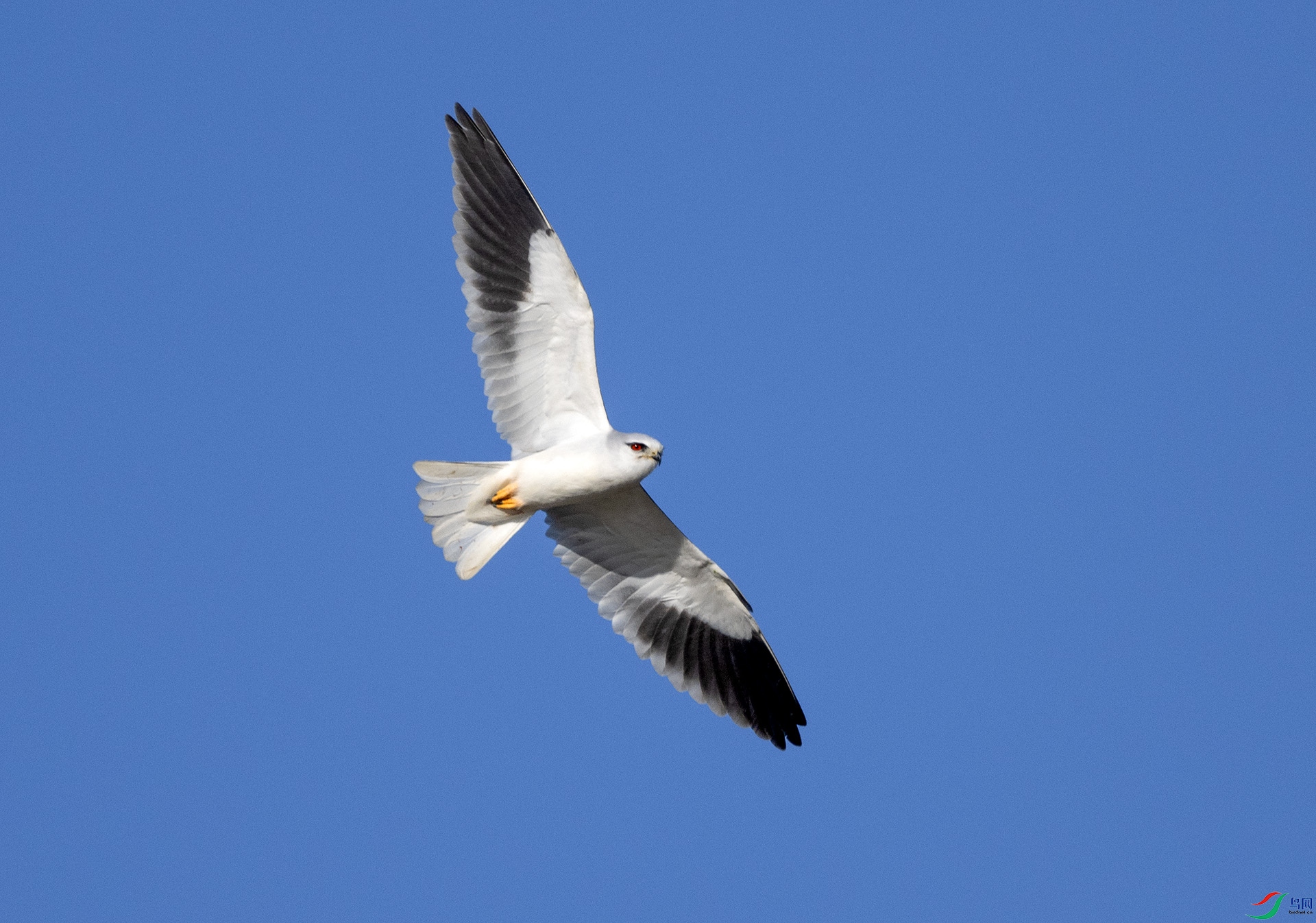 ��DSC_6024 ��ؐ.jpg