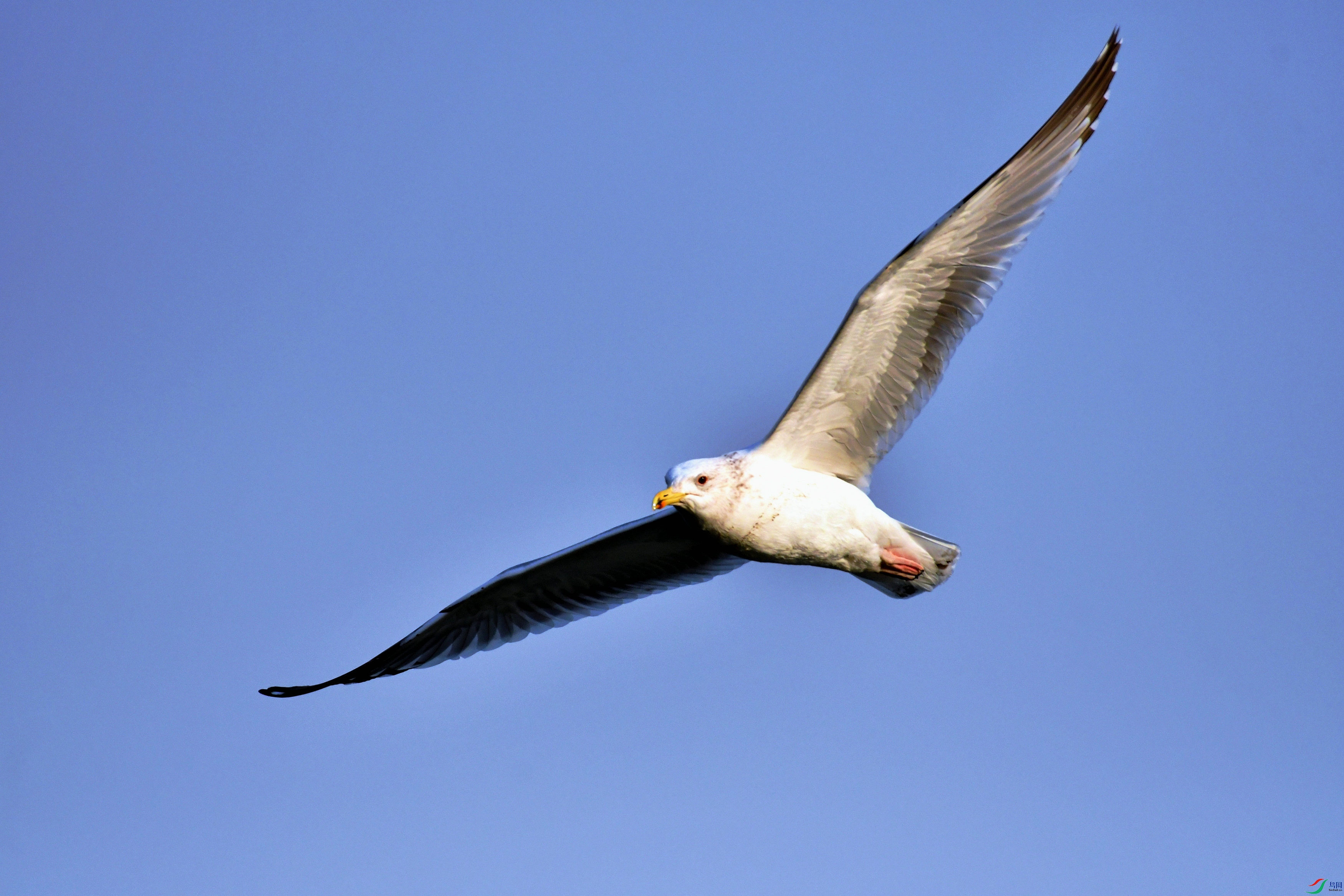 DSC_7182.JPG