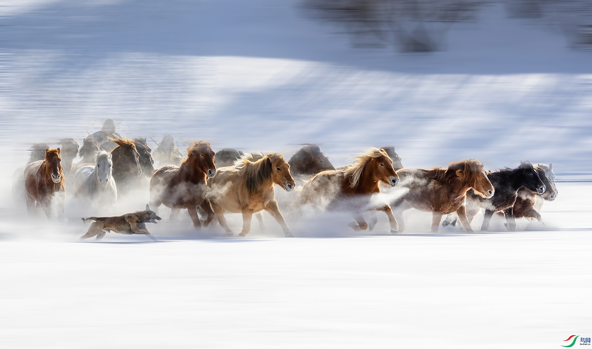 DSC_7062- �������� ---.jpg