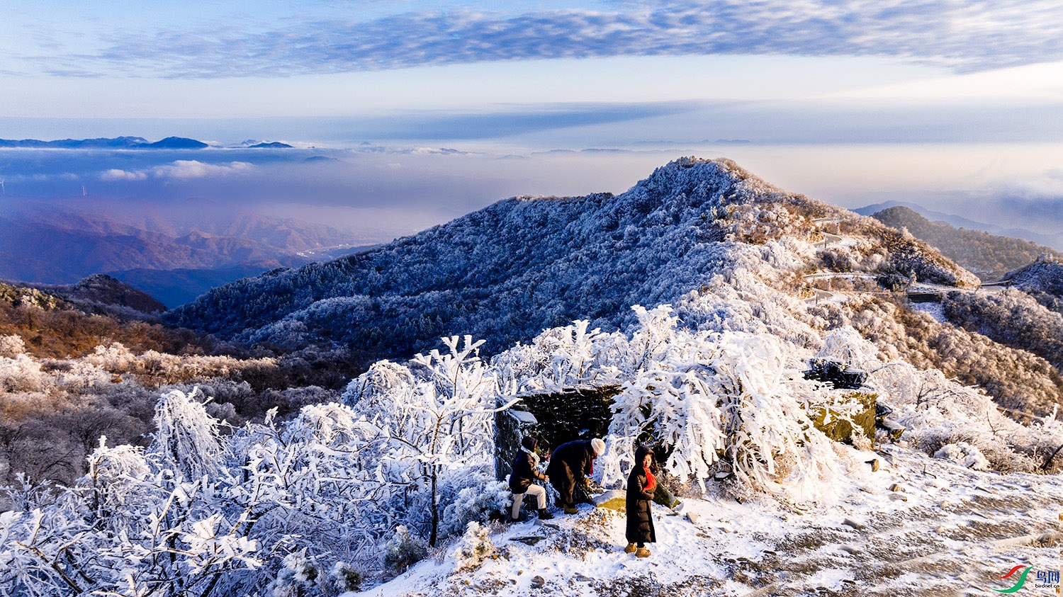 DJI_20240120171030_0153_D ���� 2.jpg