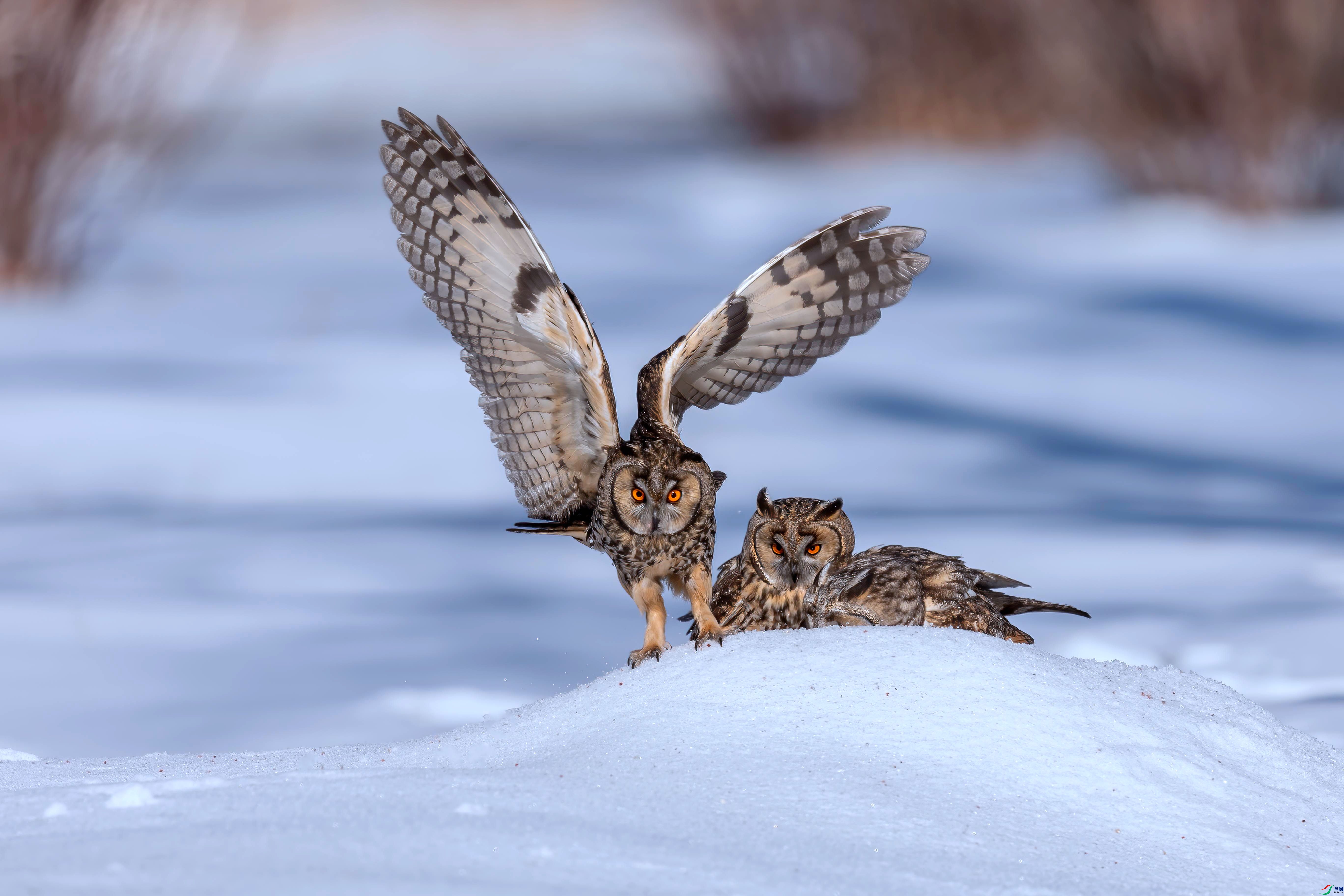 _EZP2678 -n_����.jpg