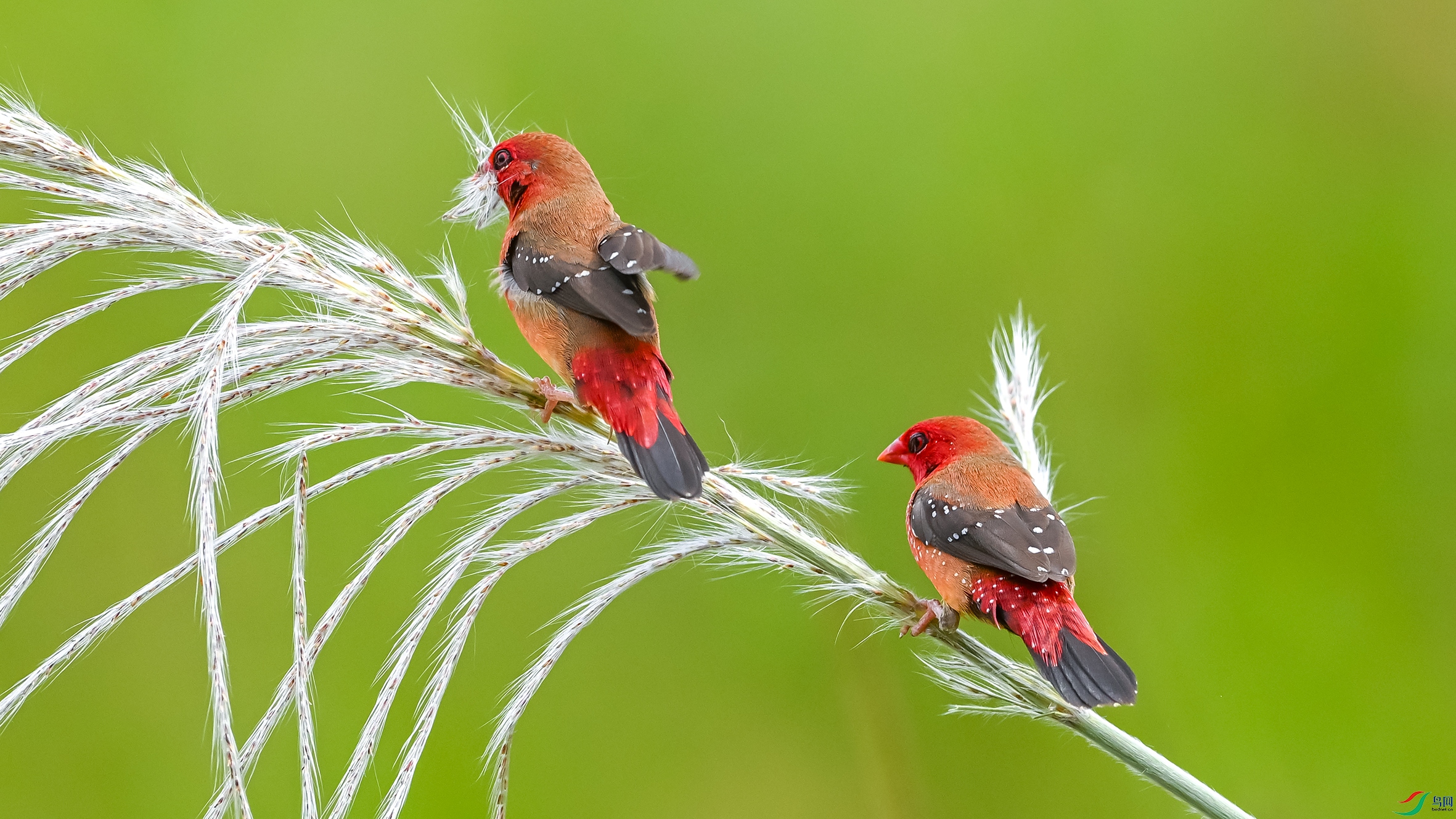 4508 ����.jpg