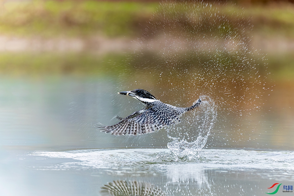 hnxyR221113 (4039)_DxO.jpg