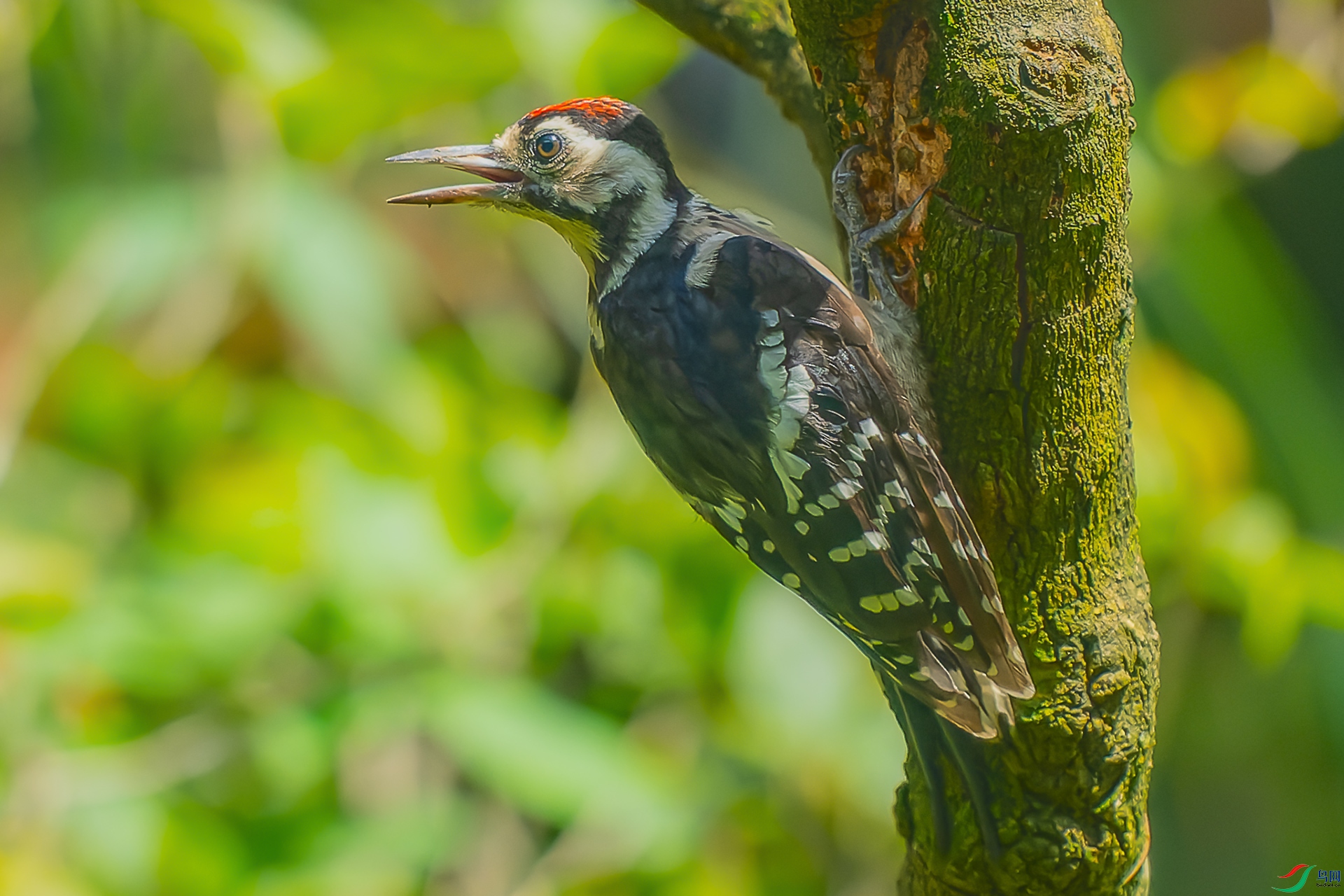 17.07��DSC_6569.jpg
