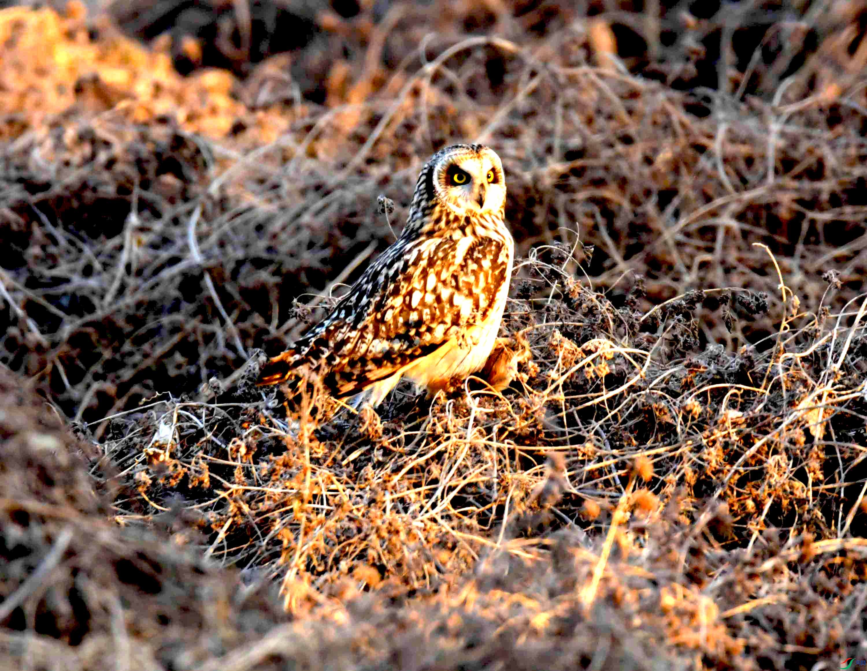 DSC_0899.JPG