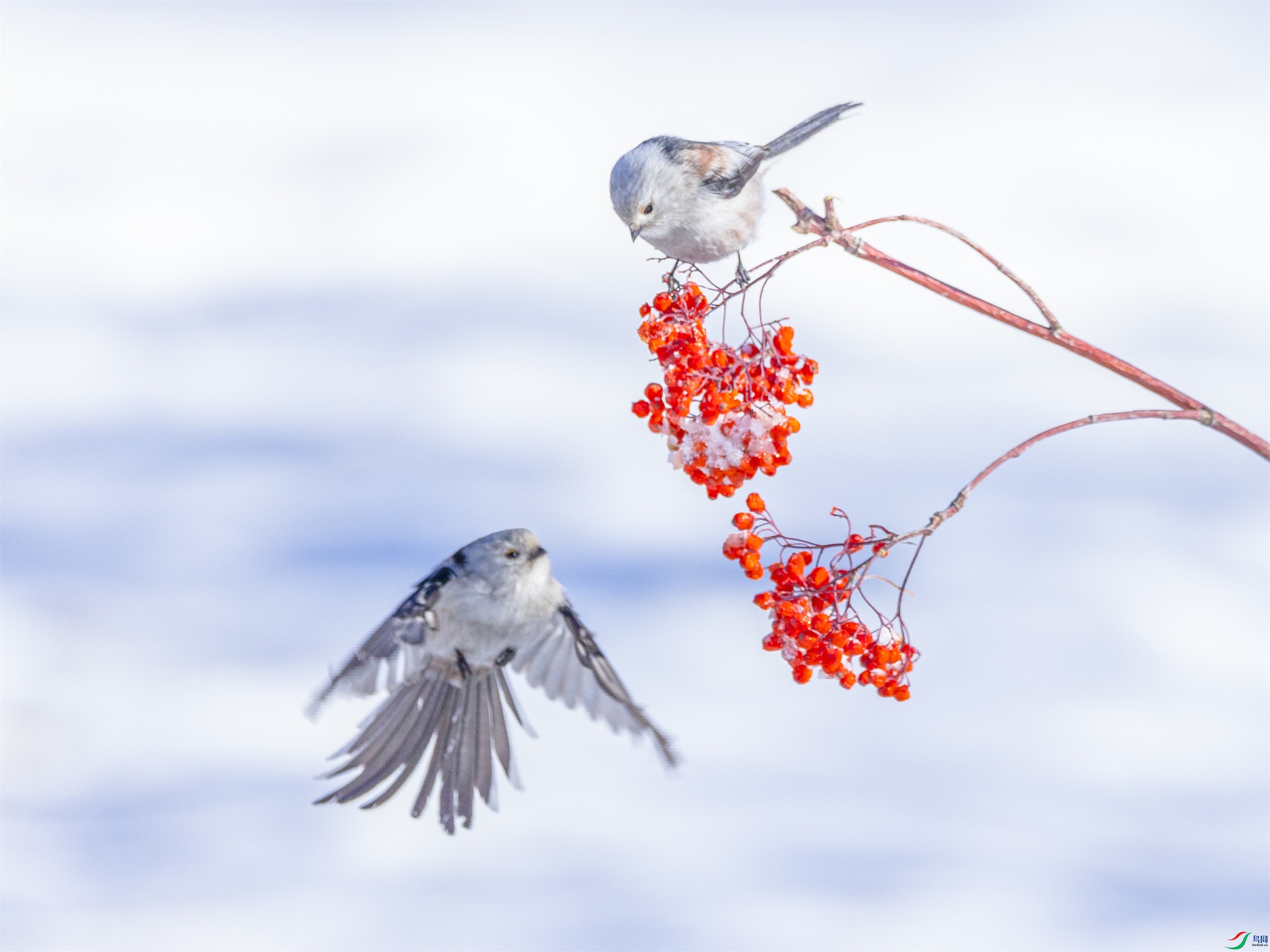 1K3A5914 ����1.jpg