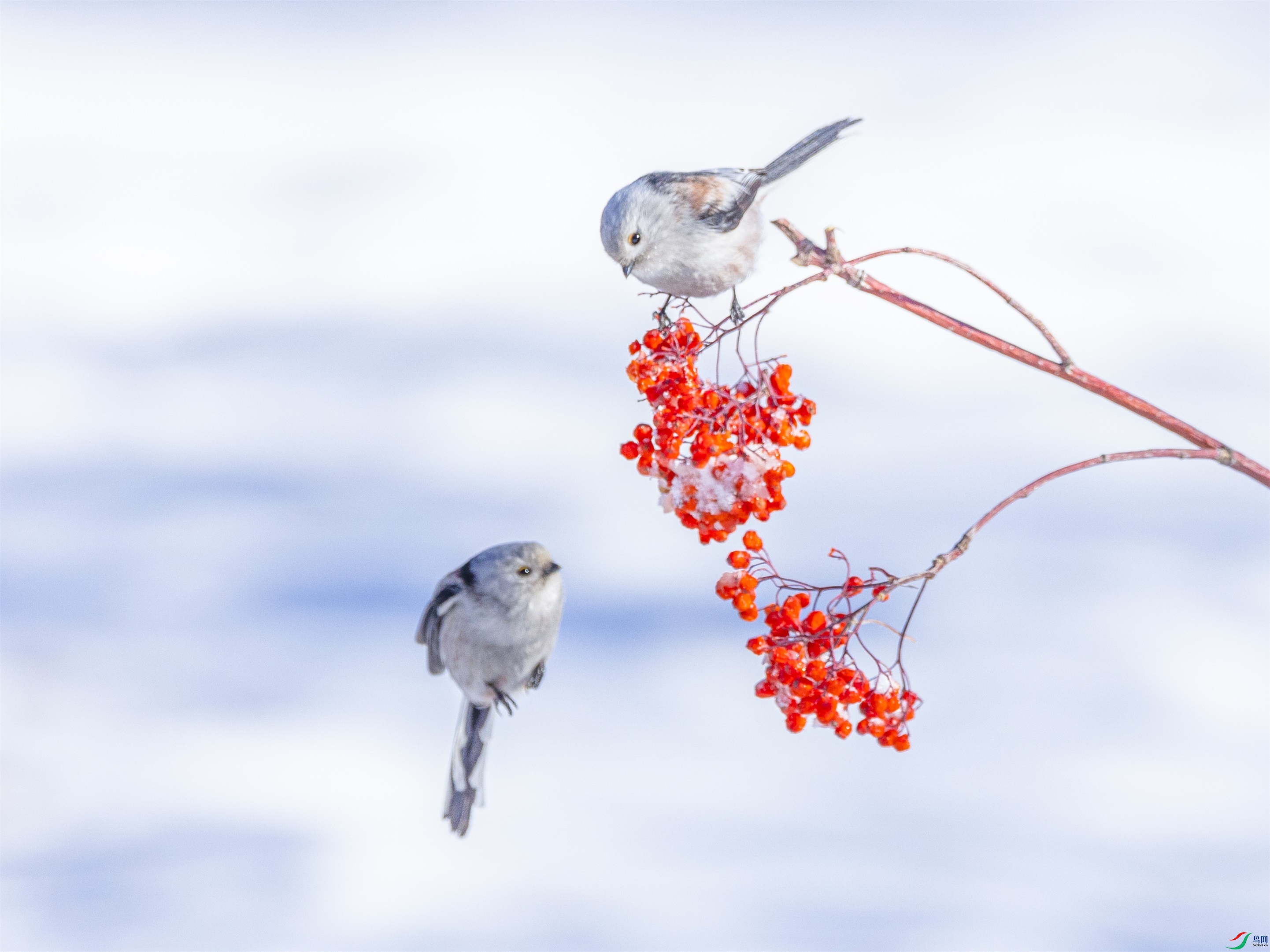 1K3A5915 ����1.jpg