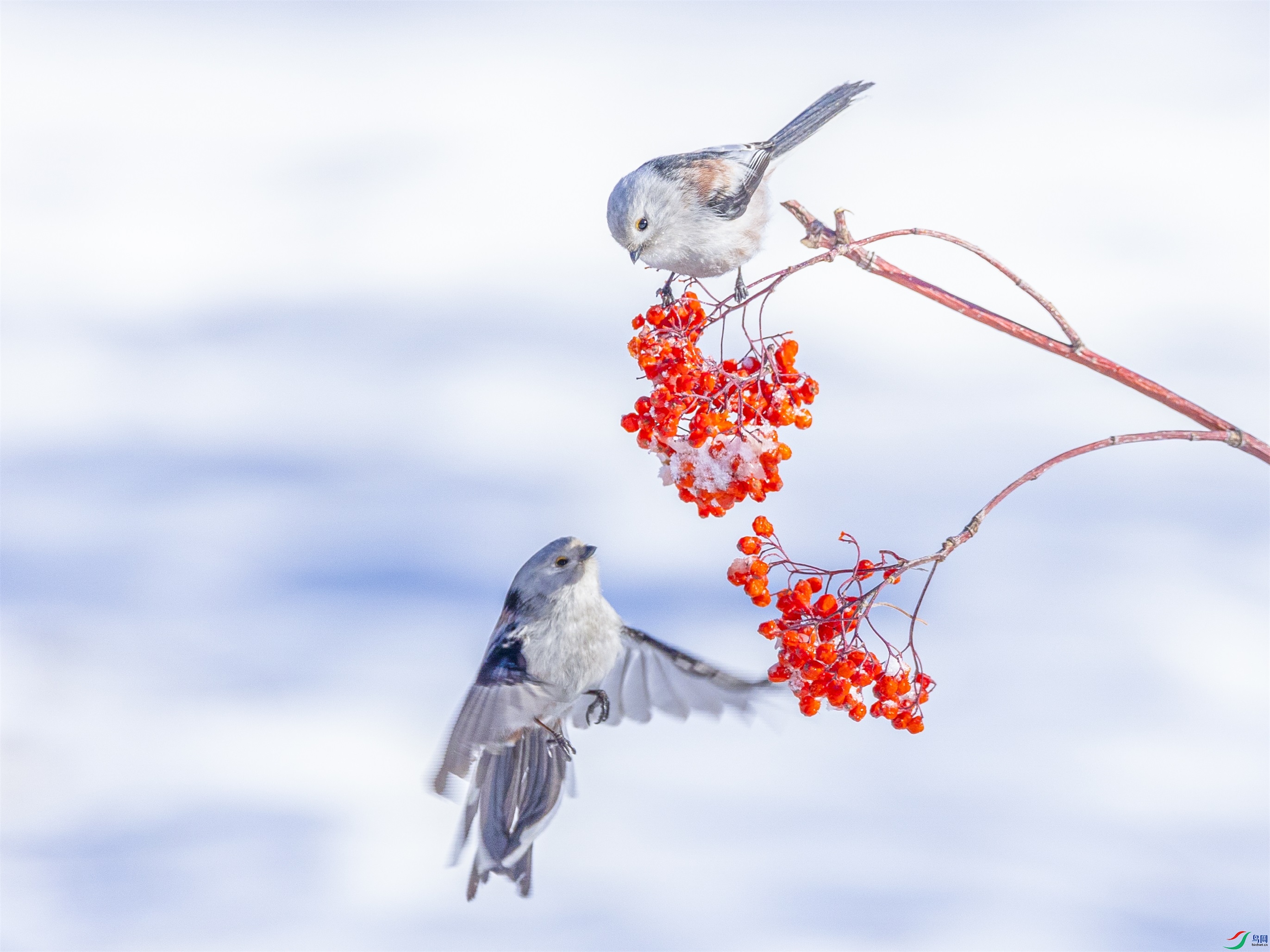 1K3A5917 ����1.jpg