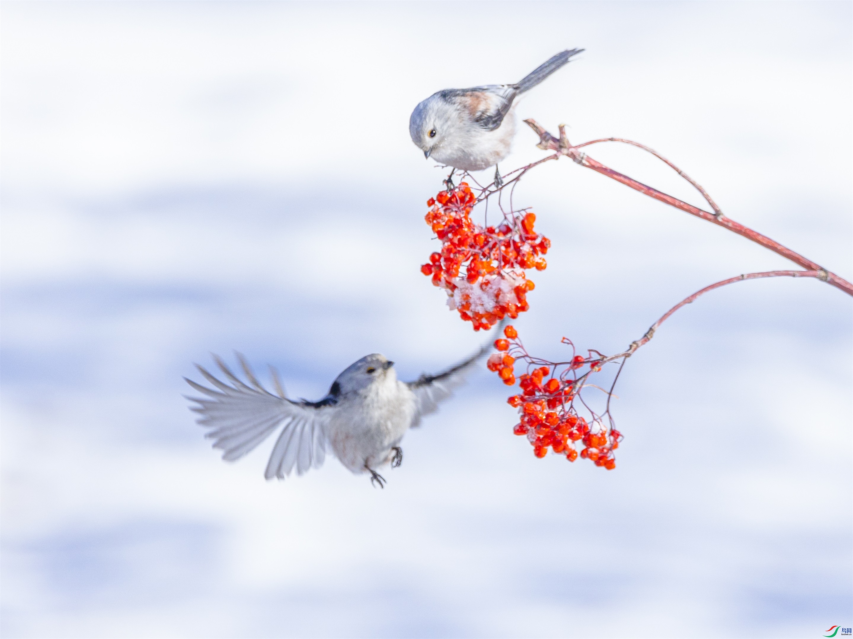 1K3A5916 ����1.jpg